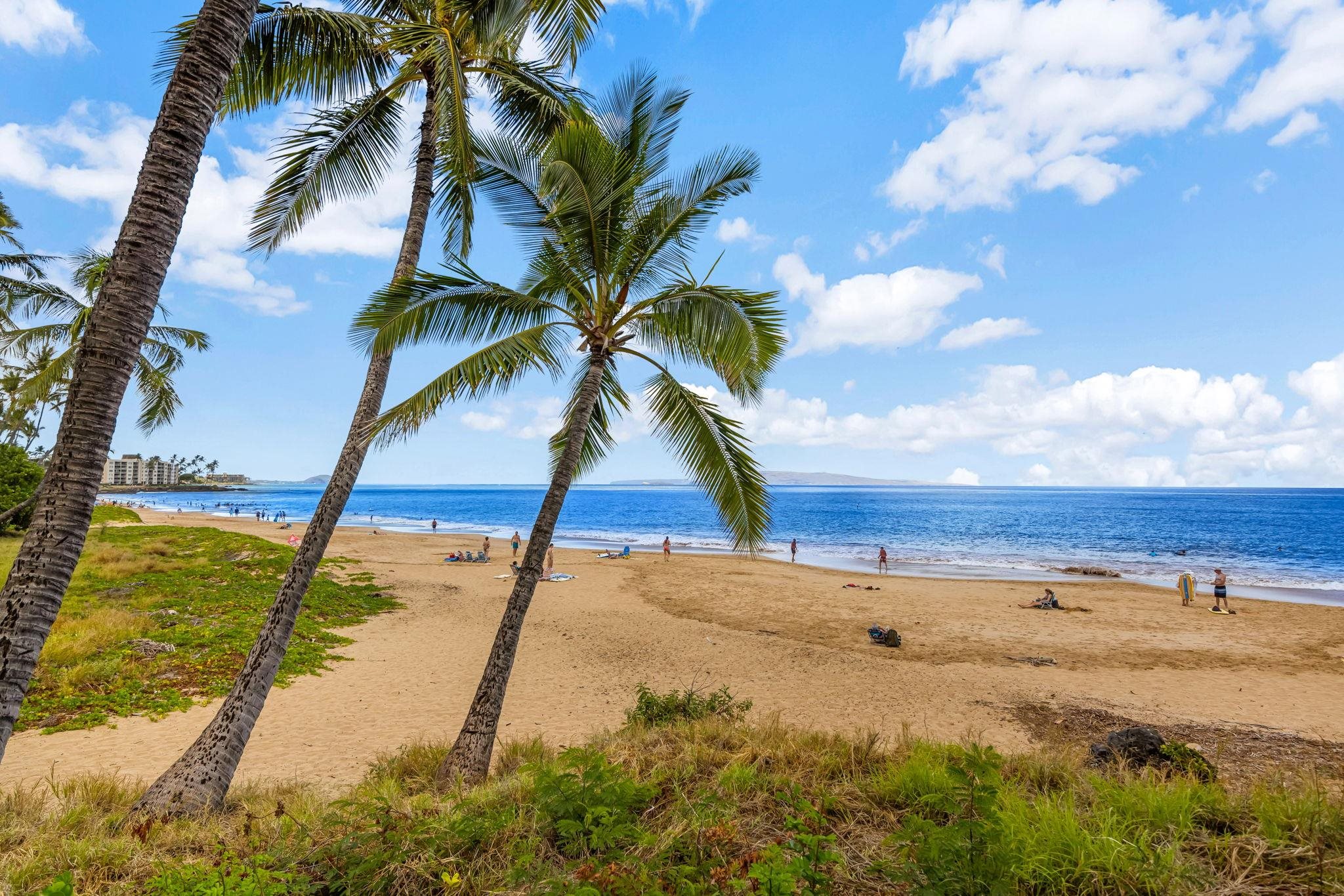 Hale Mahialani condo # 5, Kihei, Hawaii - photo 42 of 46