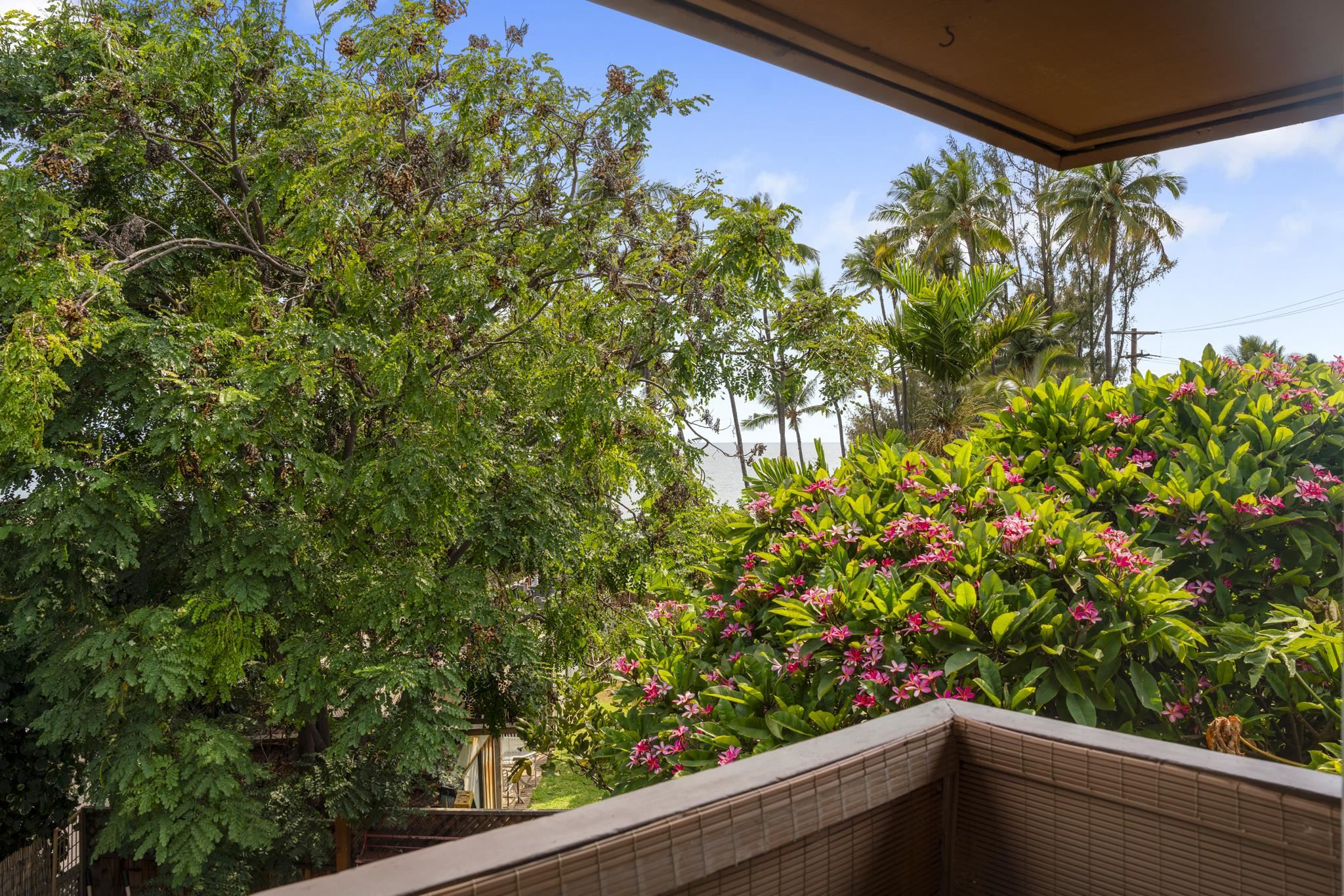 Hale Mahialani condo # 6, Kihei, Hawaii - photo 24 of 32