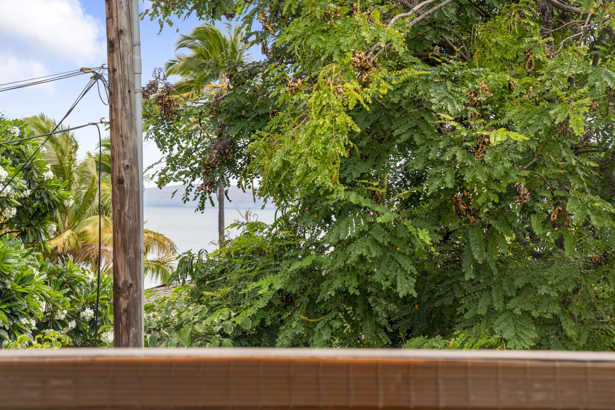 Hale Mahialani condo # 6, Kihei, Hawaii - photo 25 of 32