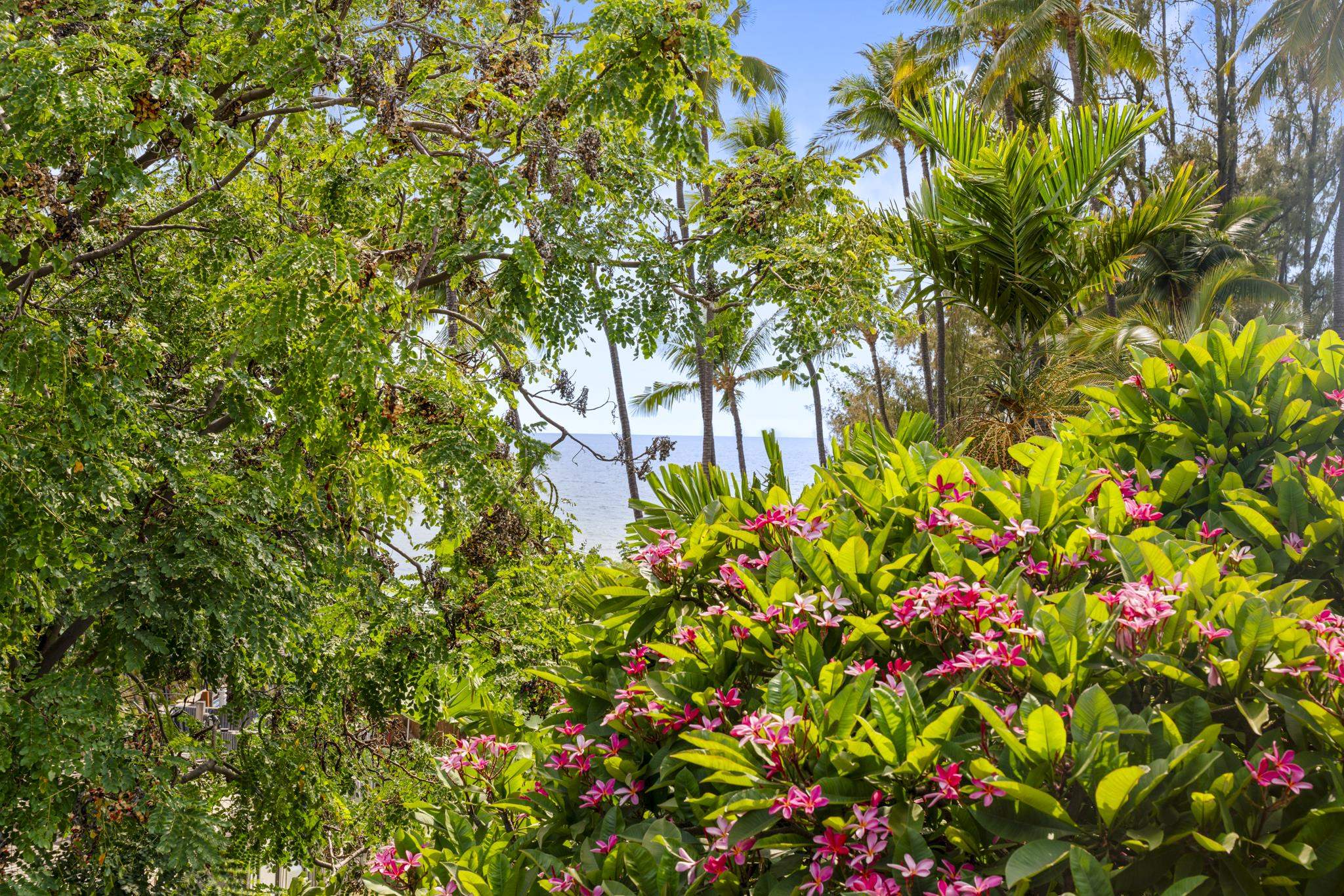 Hale Mahialani condo # 6, Kihei, Hawaii - photo 26 of 32