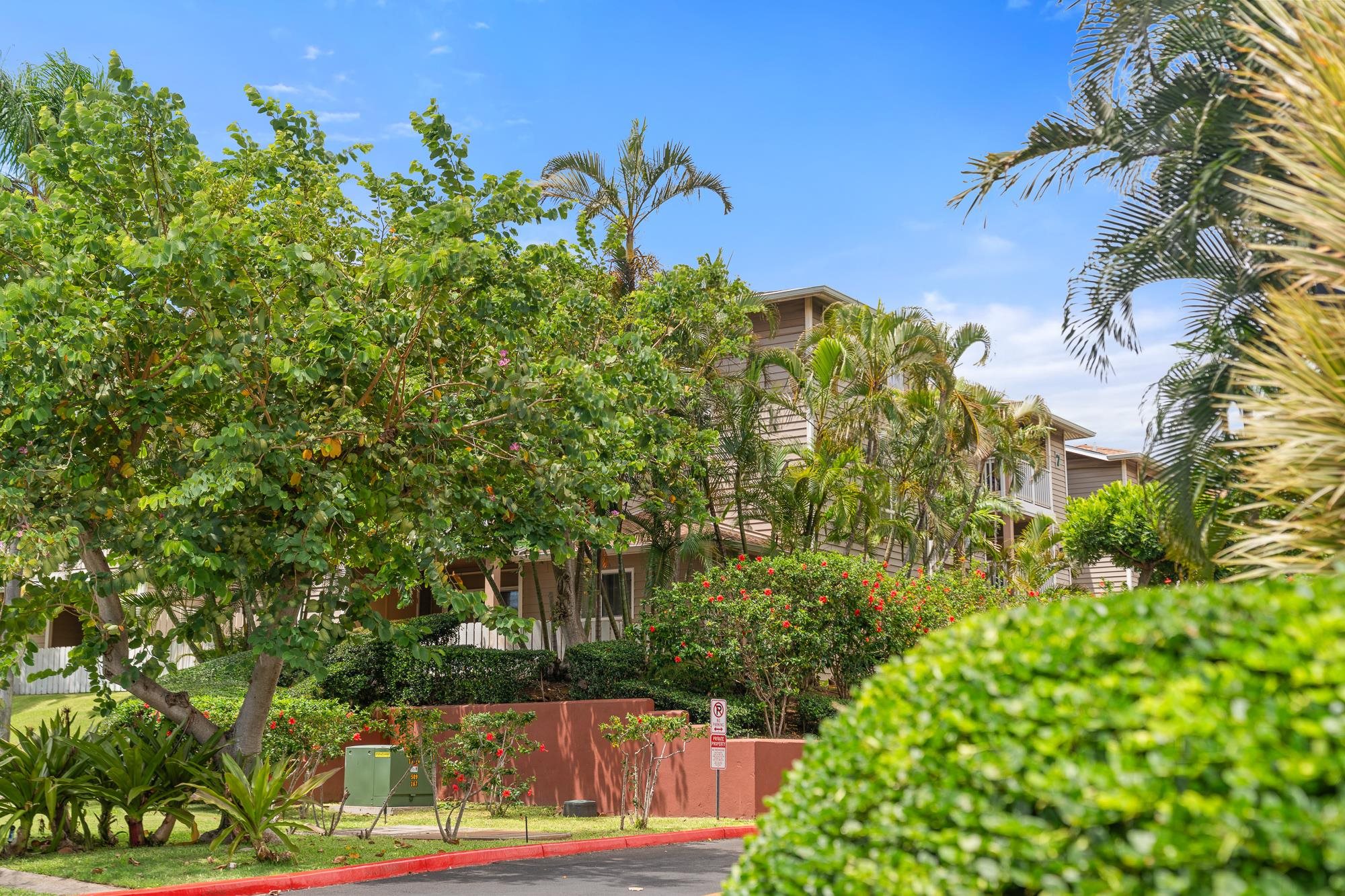 Kahului Ikena condo # 126, Kahului, Hawaii - photo 32 of 43