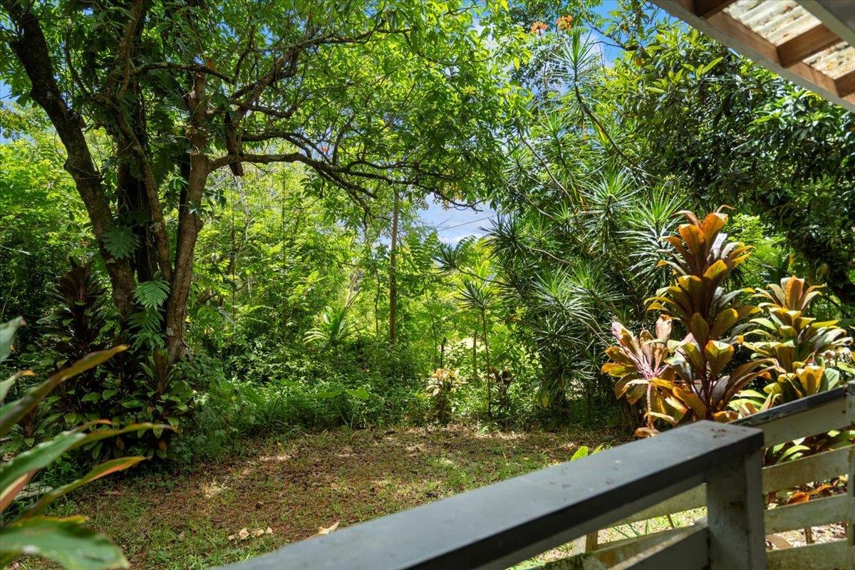 7  Lanikai Pl Haiku, Haiku home - photo 41 of 50