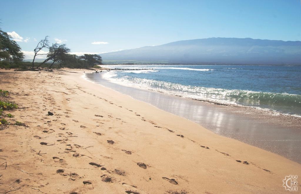 Maalaea Kai condo # 220, Wailuku, Hawaii - photo 43 of 50