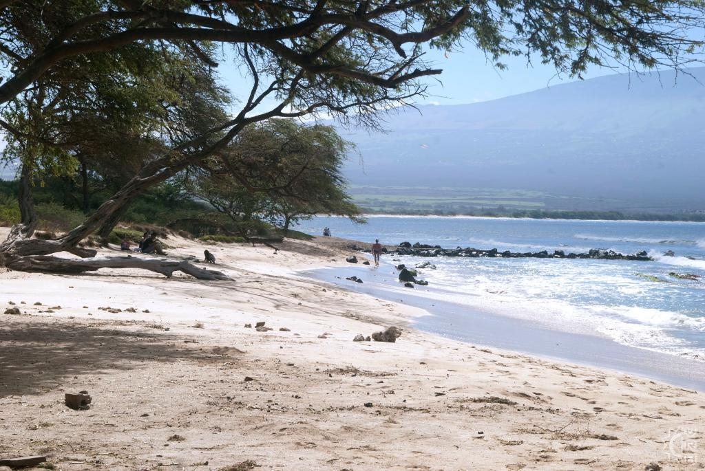 Maalaea Kai condo # 220, Wailuku, Hawaii - photo 44 of 50