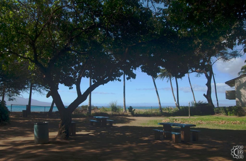 Maalaea Kai condo # 220, Wailuku, Hawaii - photo 45 of 50