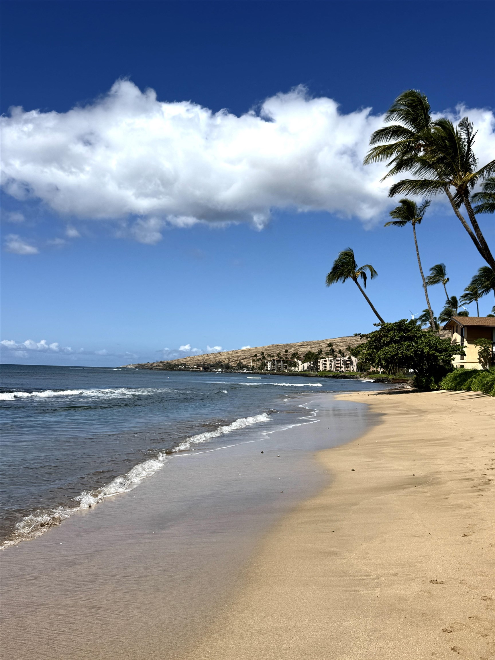 Maalaea Kai condo # 403, Wailuku, Hawaii - photo 34 of 37
