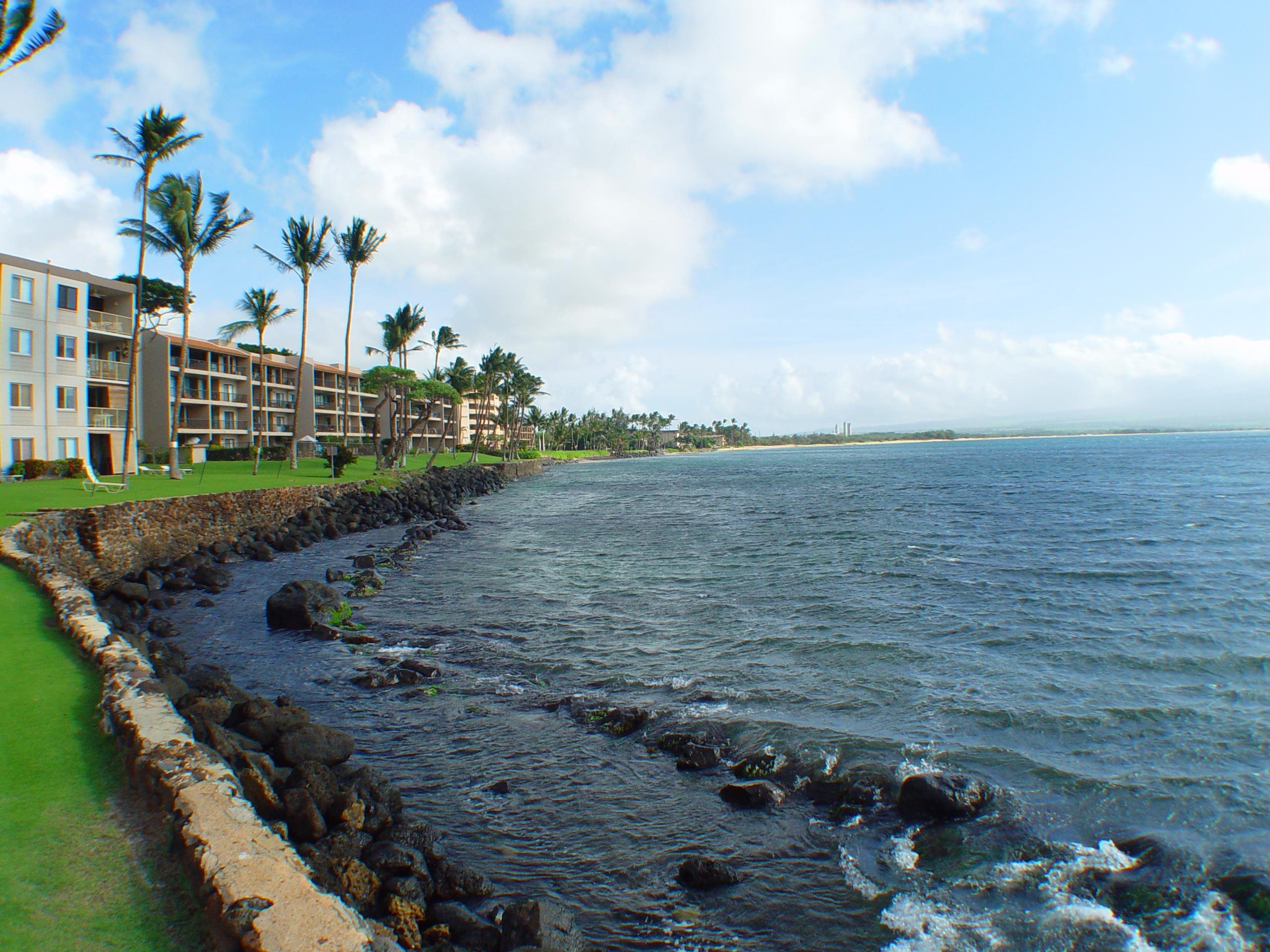 Maalaea Kai condo # 411, Wailuku, Hawaii - photo 7 of 18