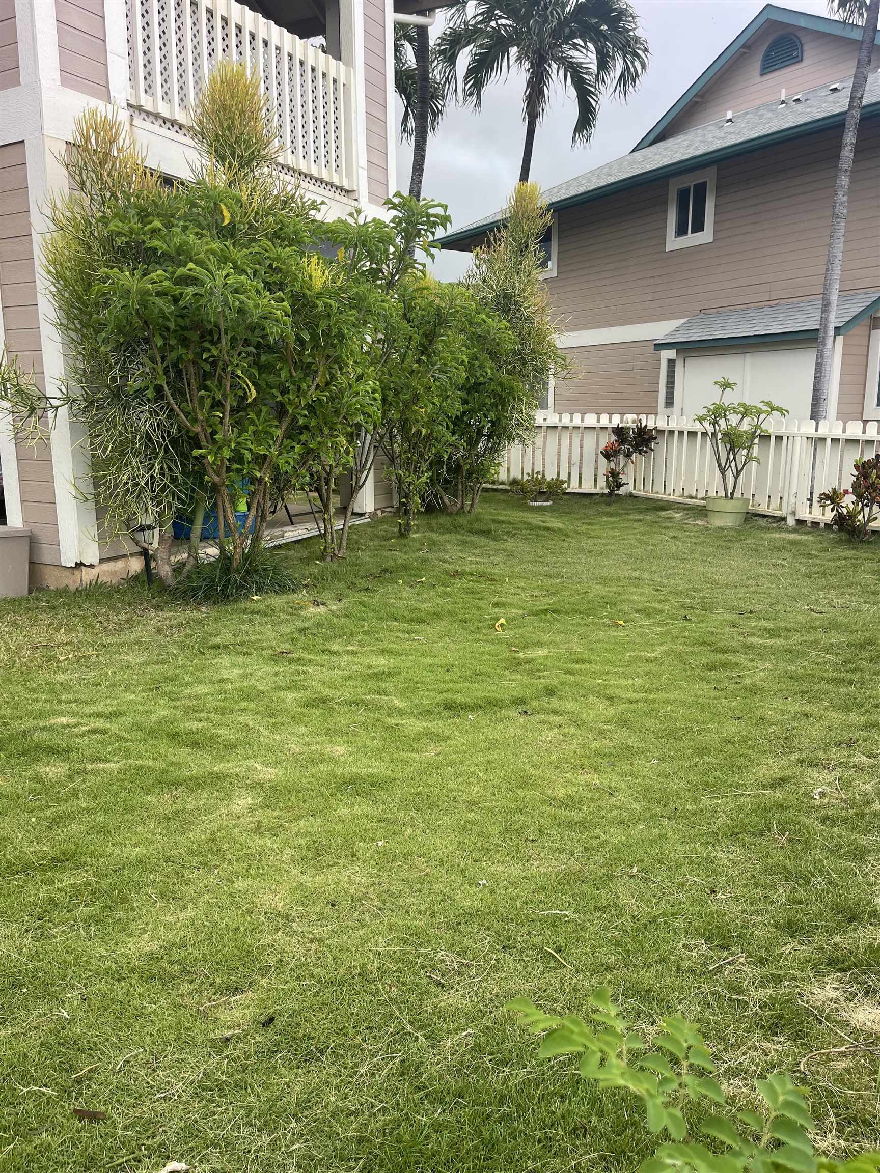 Iao Parkside I condo # 14-104, Wailuku, Hawaii - photo 18 of 21