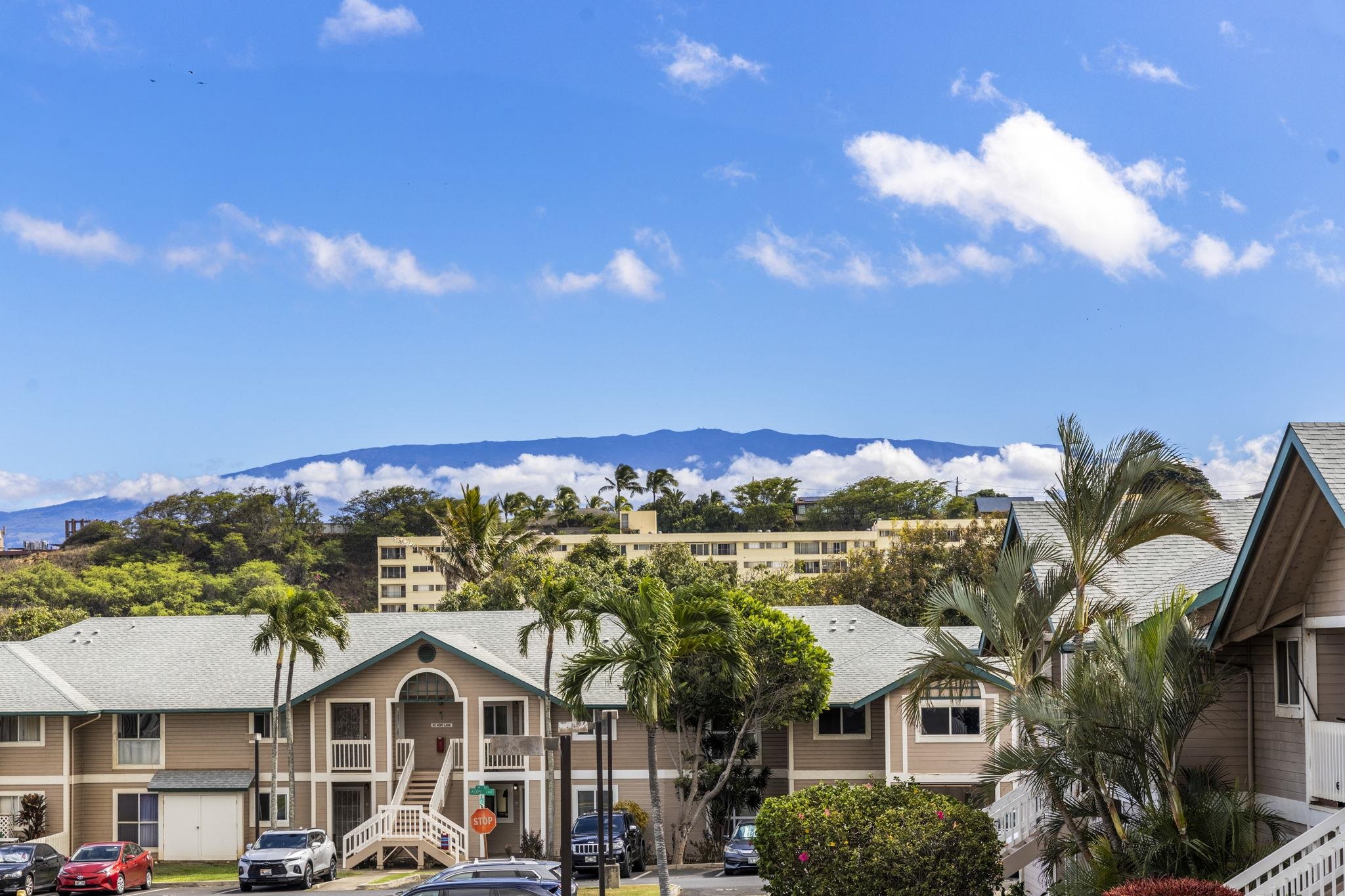 Iao Parkside I condo # 14204, Wailuku, Hawaii - photo 36 of 45