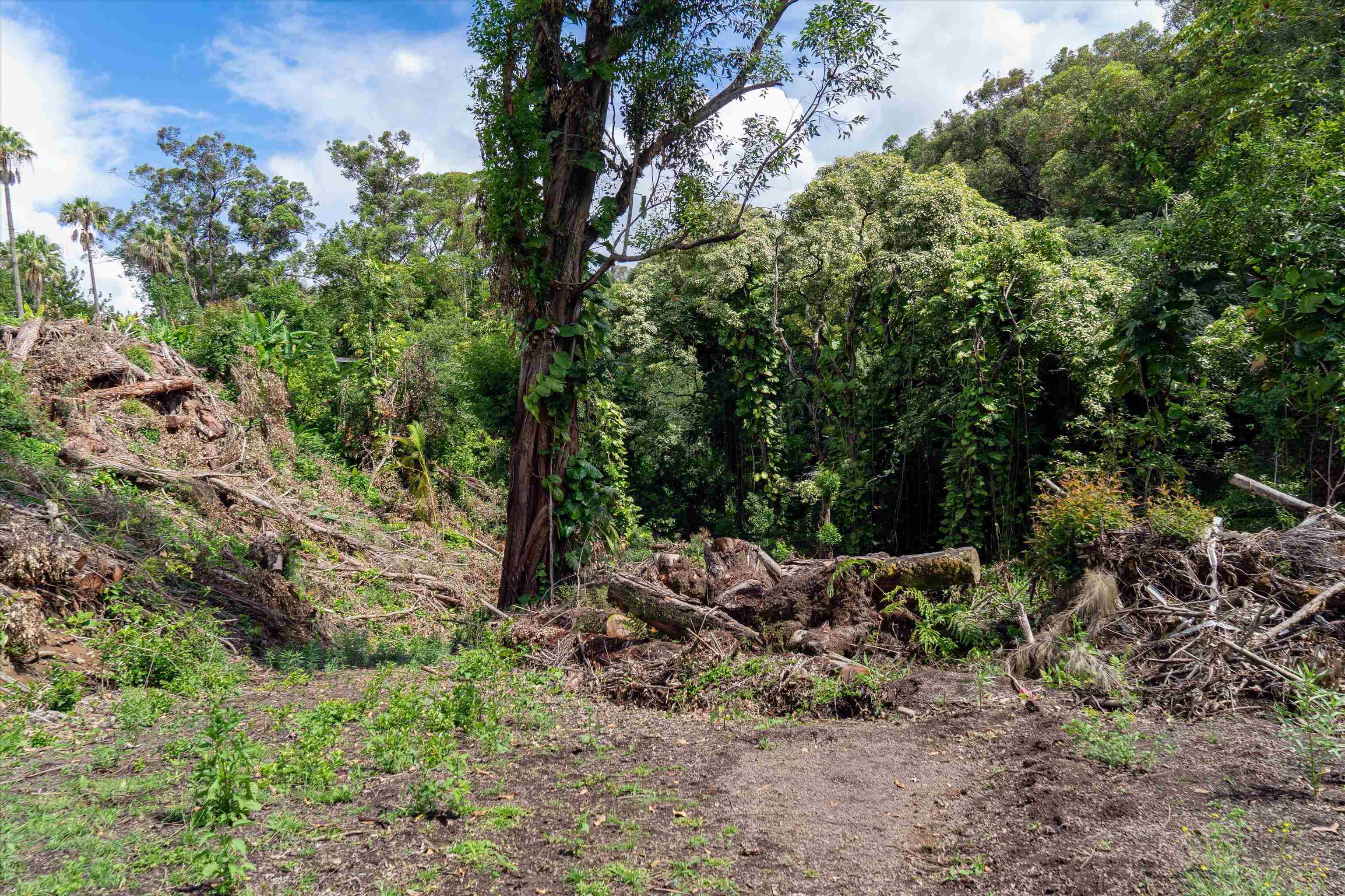 70  Lanikai Pl , Haiku home - photo 11 of 21