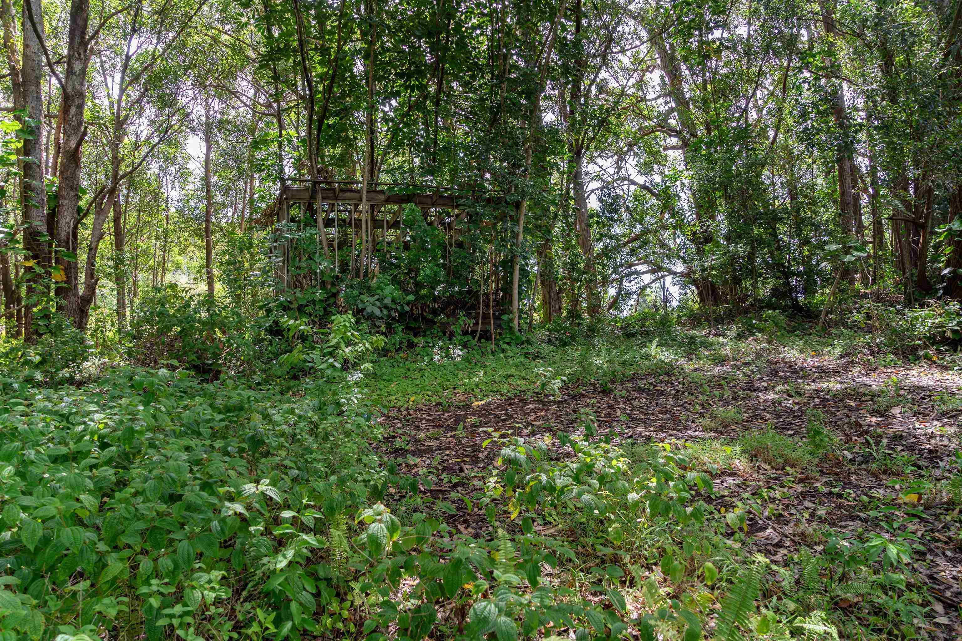 70  Lanikai Pl , Haiku home - photo 14 of 21