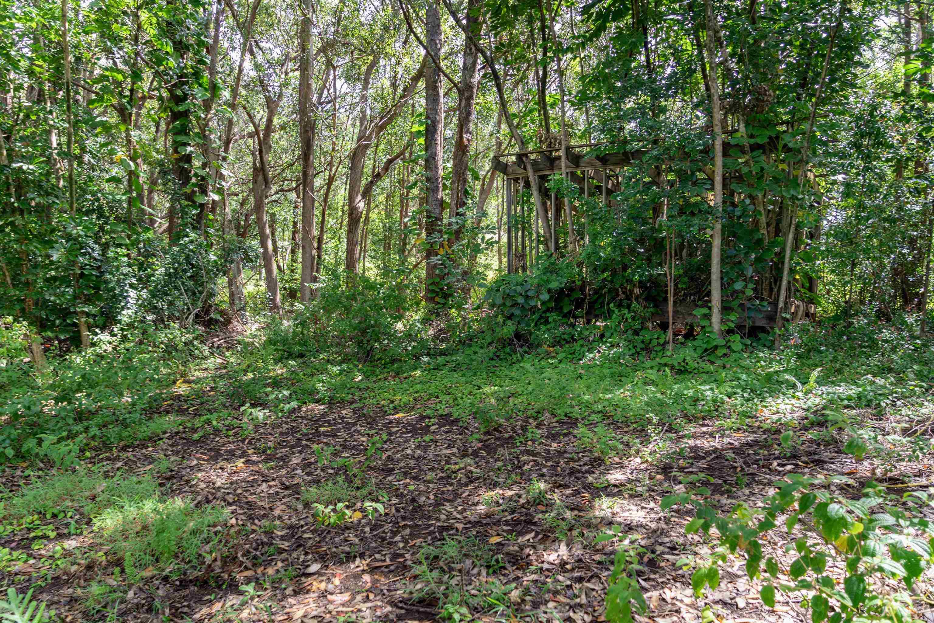 70  Lanikai Pl , Haiku home - photo 17 of 21