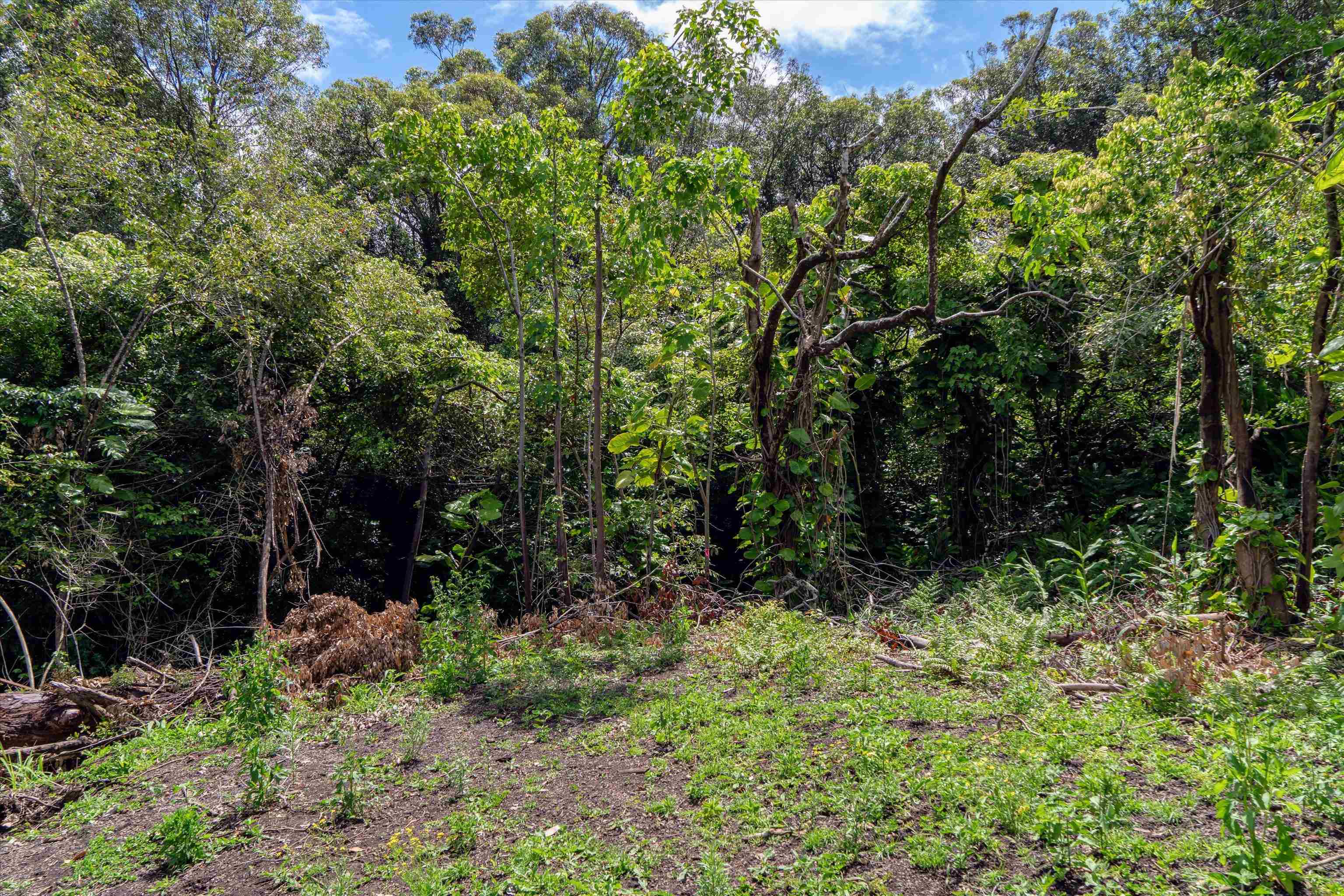 70  Lanikai Pl , Haiku home - photo 19 of 21