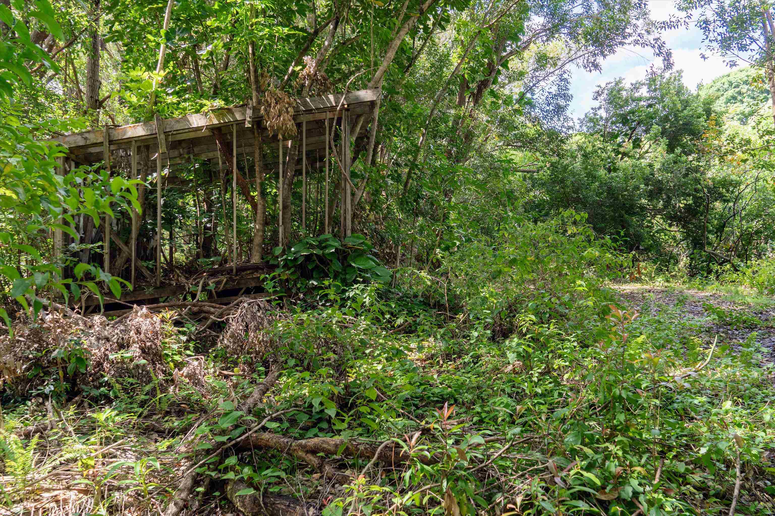70  Lanikai Pl , Haiku home - photo 20 of 21