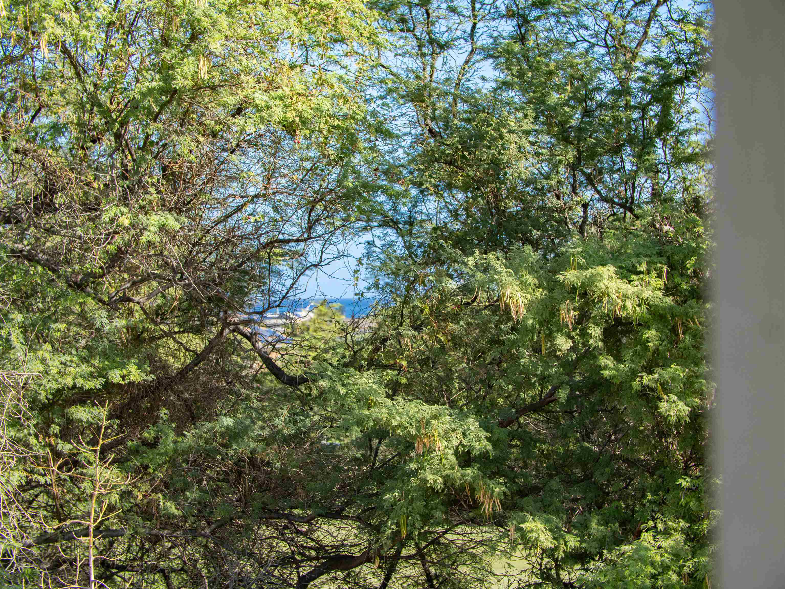 70  Olina St Kahului, Kahului home - photo 19 of 50