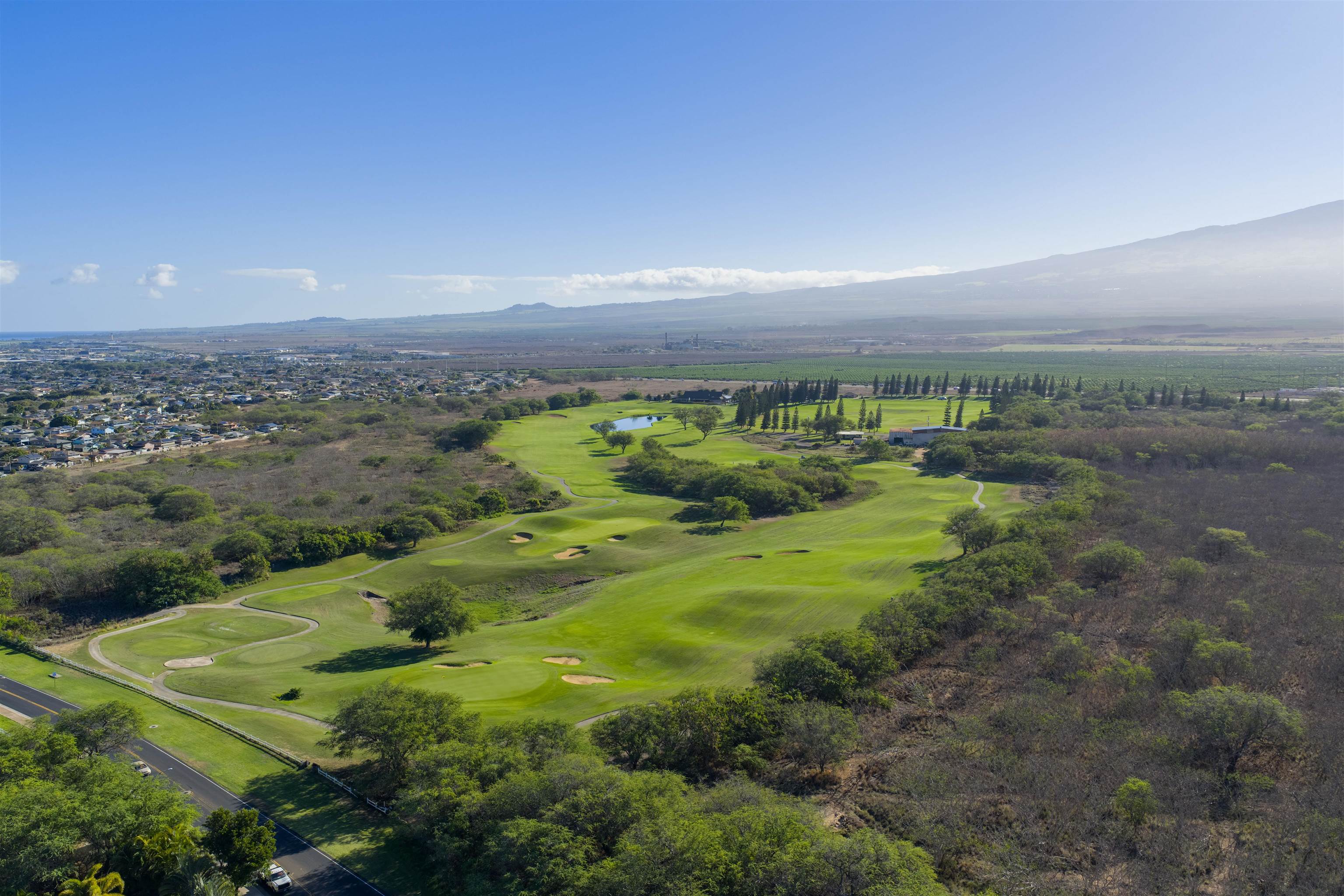70  Olina St Kahului, Kahului home - photo 3 of 50