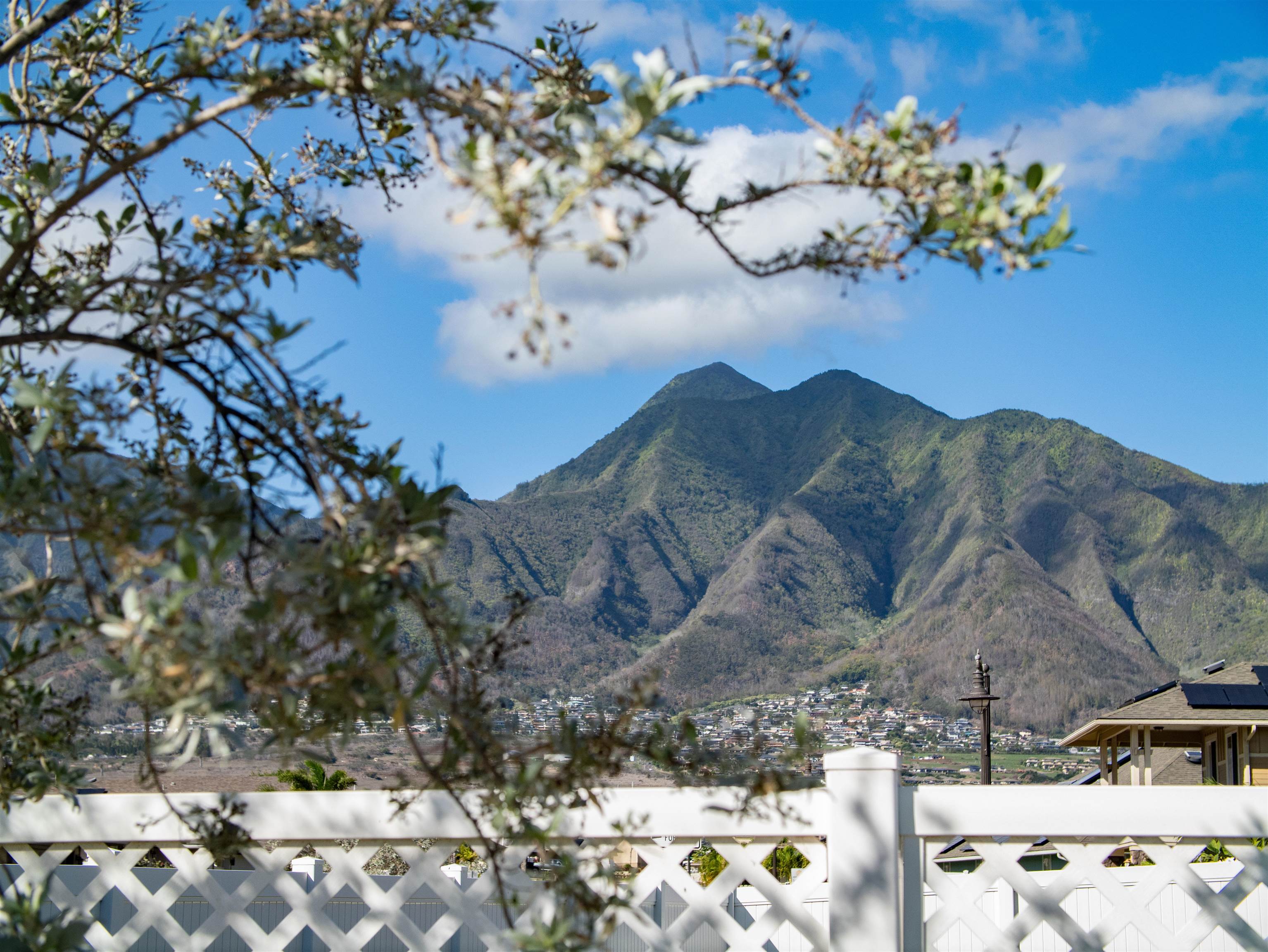 70  Olina St Kahului, Kahului home - photo 45 of 50