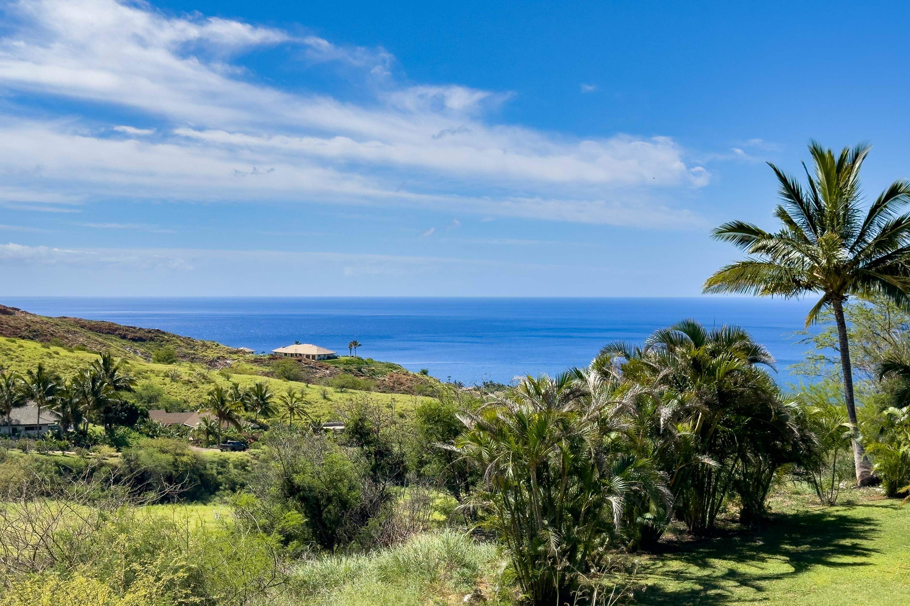 70  Wailau Pl Launiupoko, Lahaina home - photo 2 of 43