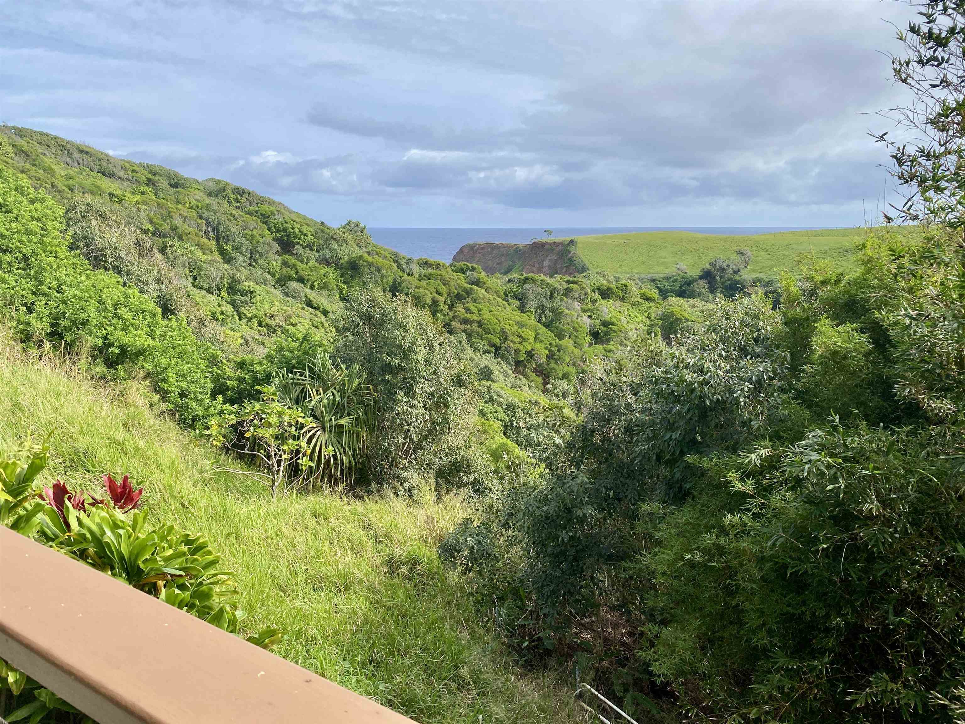 700  Honopou Rd Twin Falls, Haiku home - photo 15 of 44