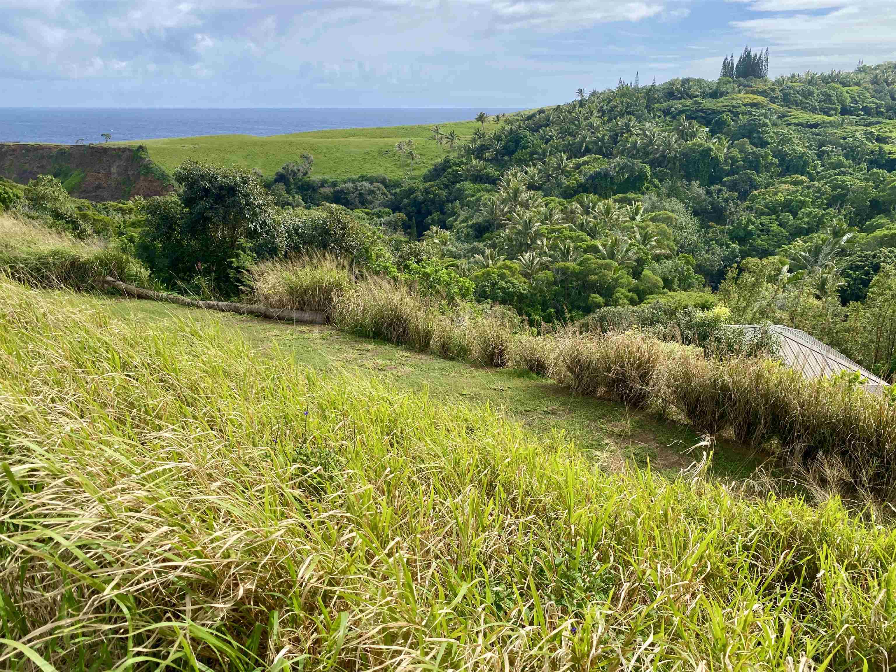 700  Honopou Rd Twin Falls, Haiku home - photo 19 of 44