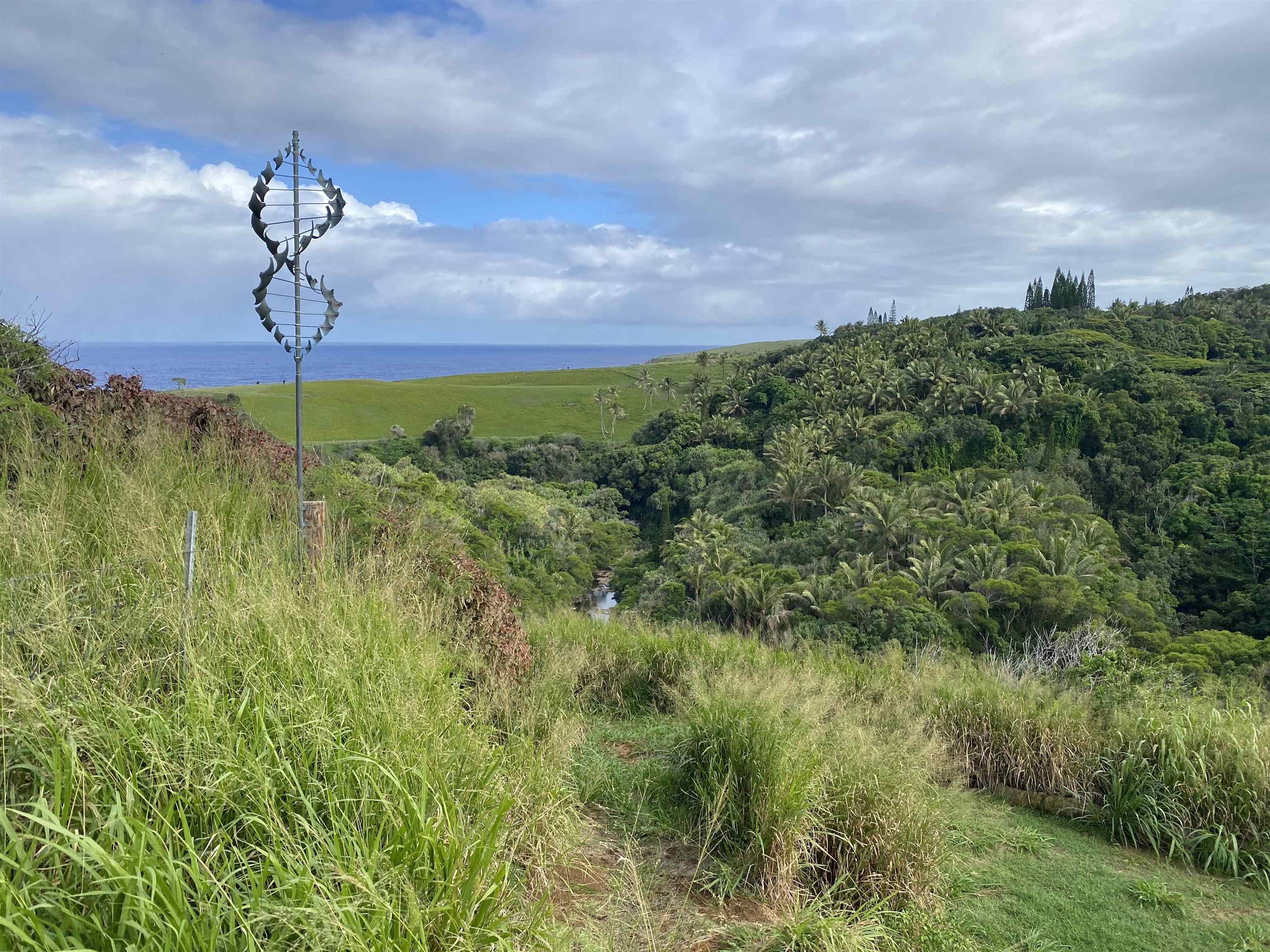 700  Honopou Rd Twin Falls, Haiku home - photo 22 of 44