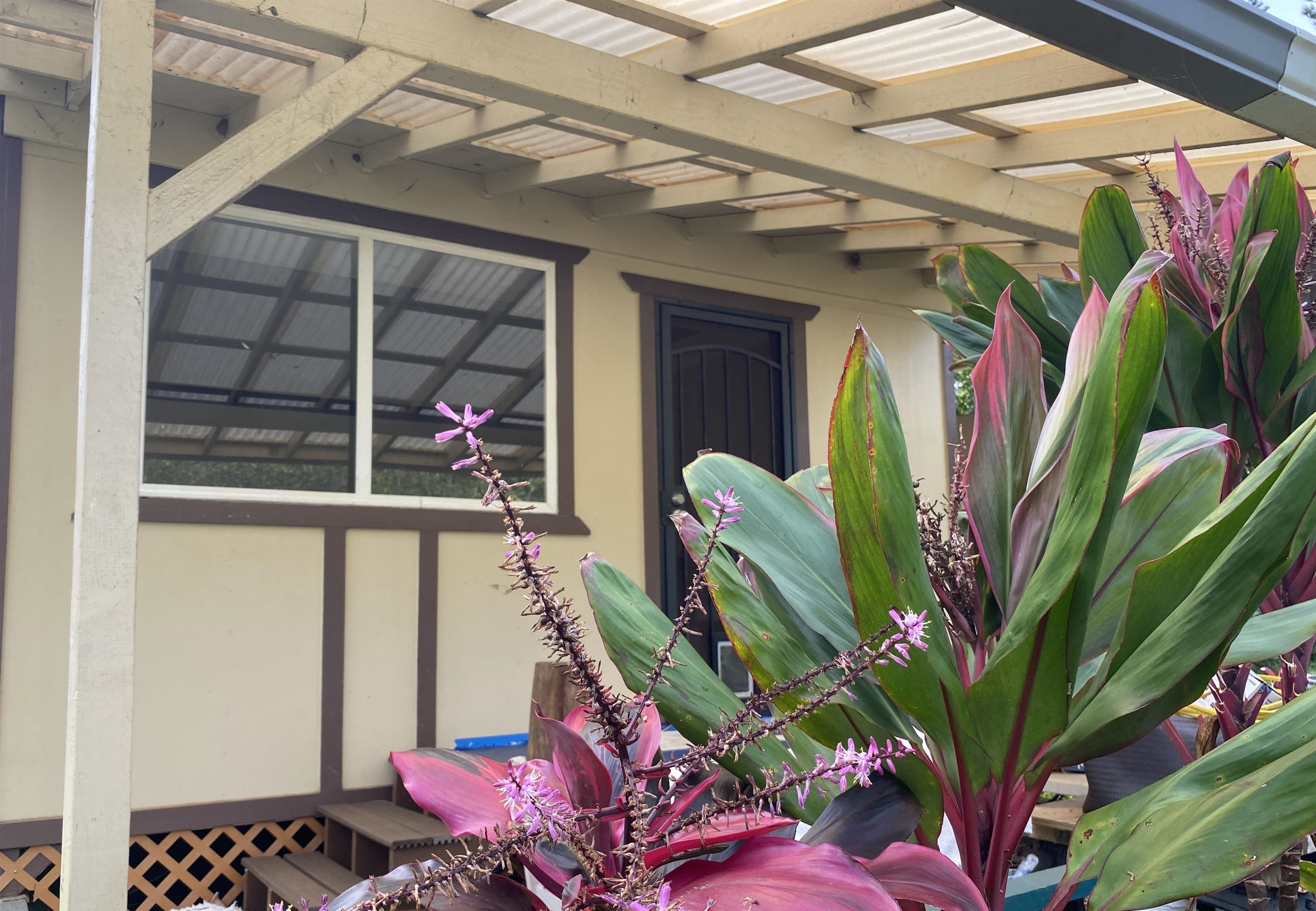 700  Honopou Rd Twin Falls, Haiku home - photo 36 of 44