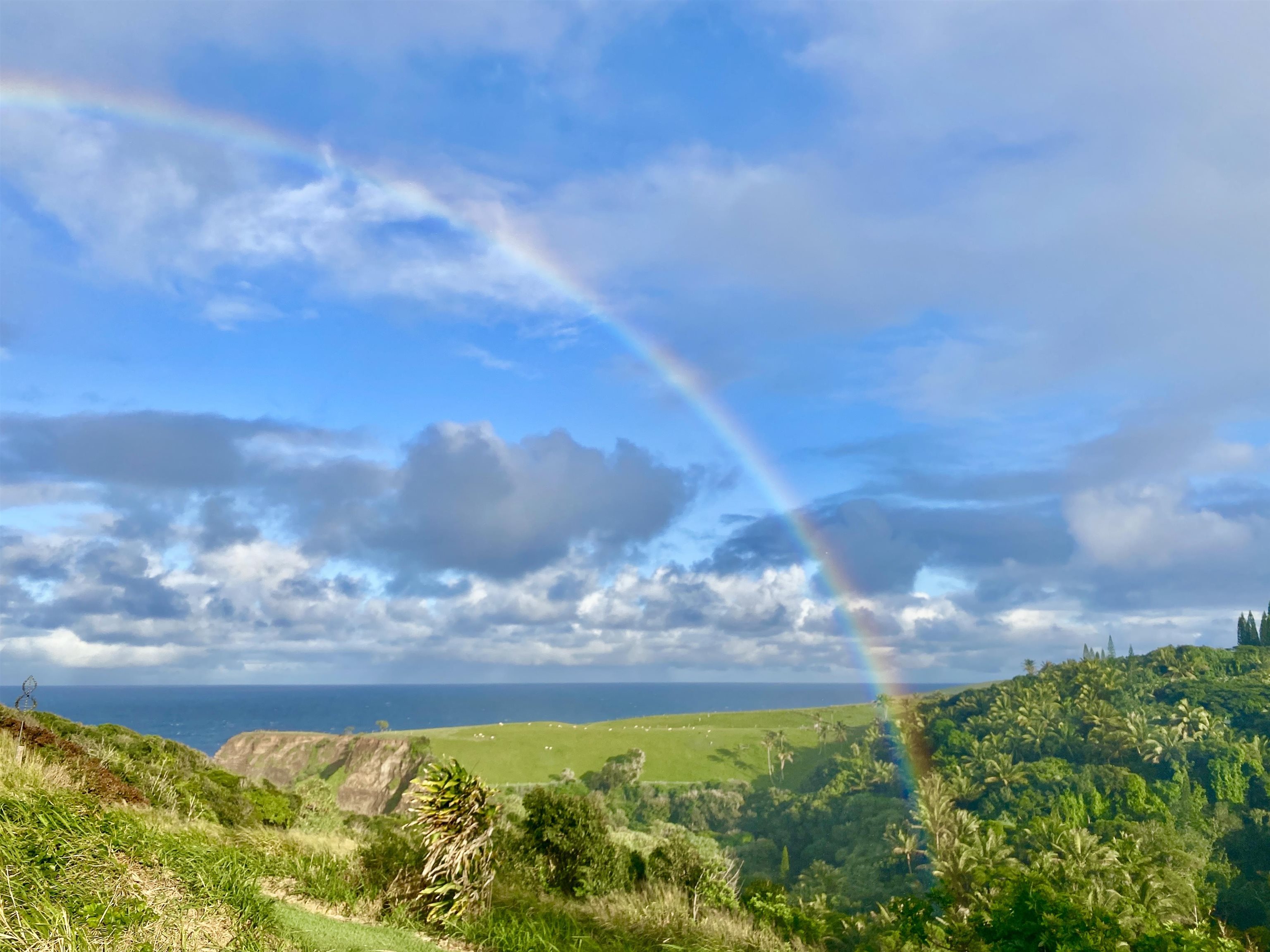 700  Honopou Rd Twin Falls, Haiku home - photo 2 of 50