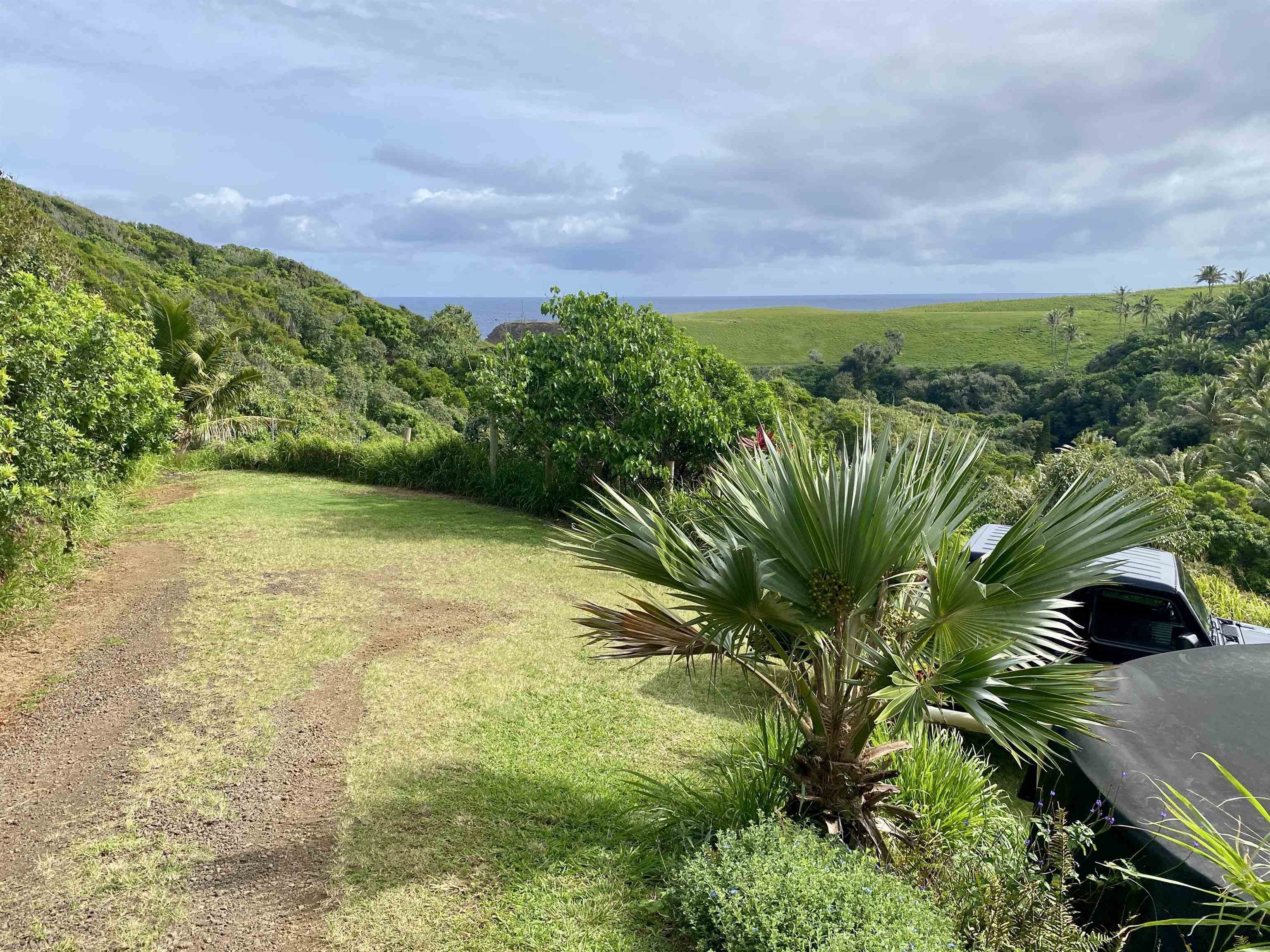 700  Honopou Rd Twin Falls, Haiku home - photo 11 of 50