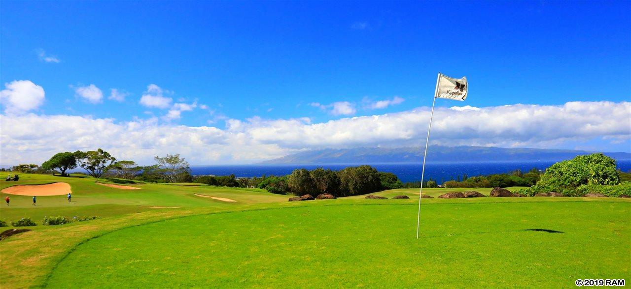 704  Mokuleia Pl Kapalua, Kapalua home - photo 29 of 30