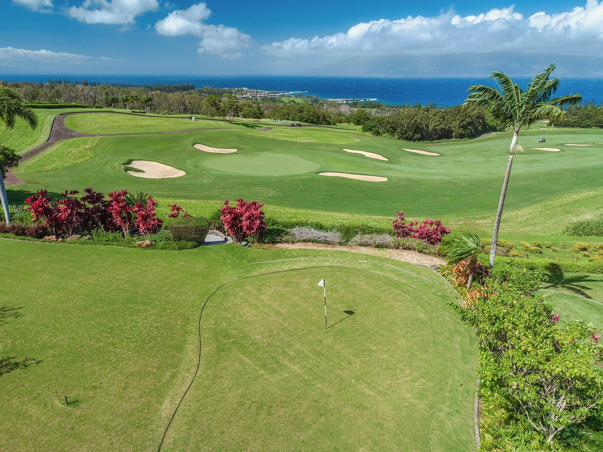 706  Mokuleia Pl Plantation Est Phase Ii, Kapalua home - photo 34 of 50