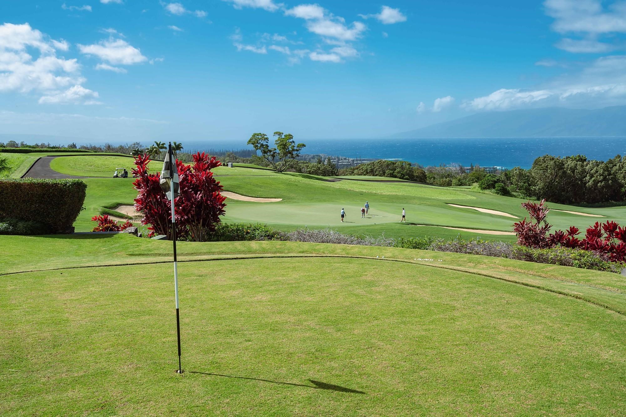 706  Mokuleia Pl Plantation Est Phase Ii, Kapalua home - photo 8 of 50