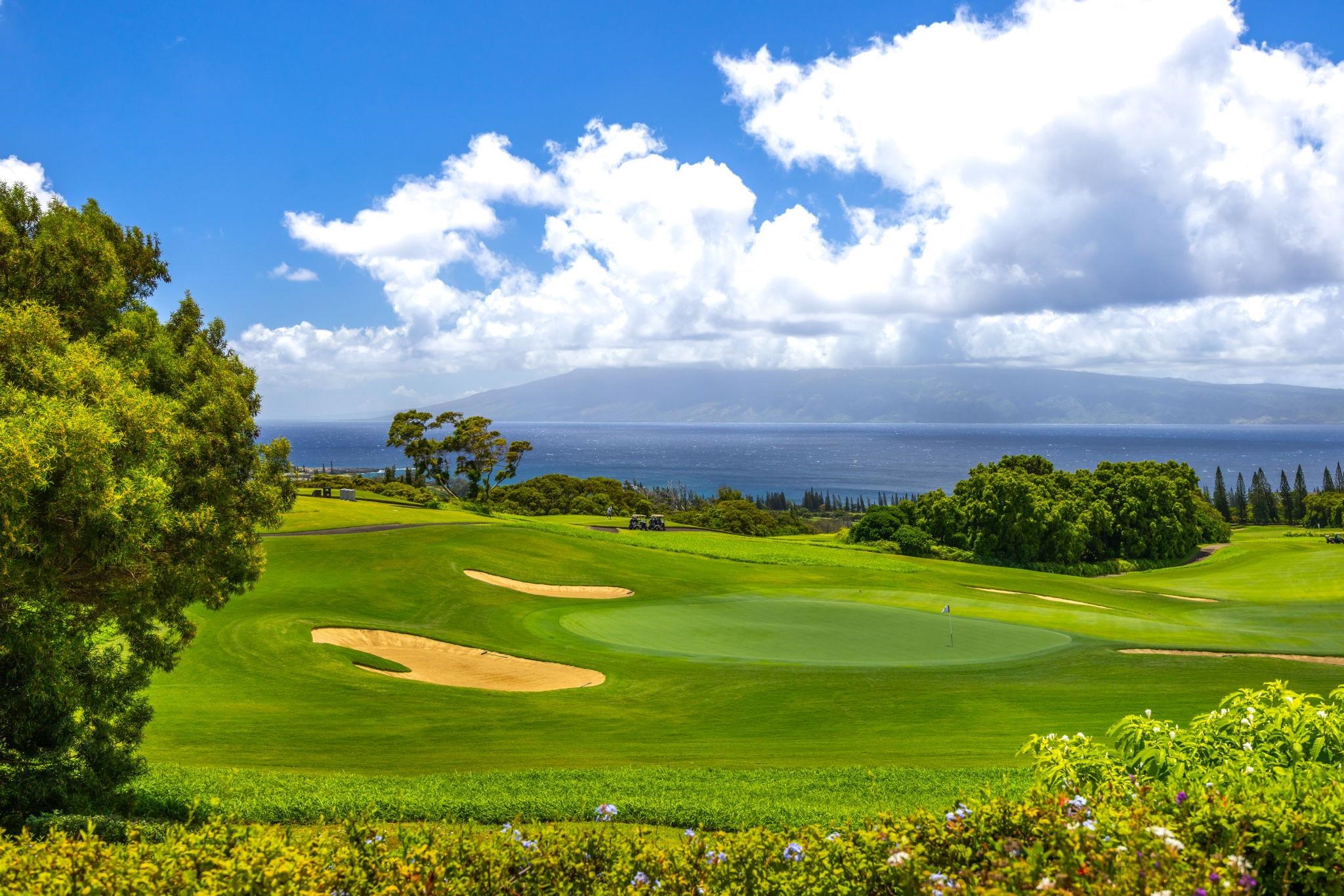706  Mokuleia Pl Kapalua, Kapalua home - photo 35 of 50