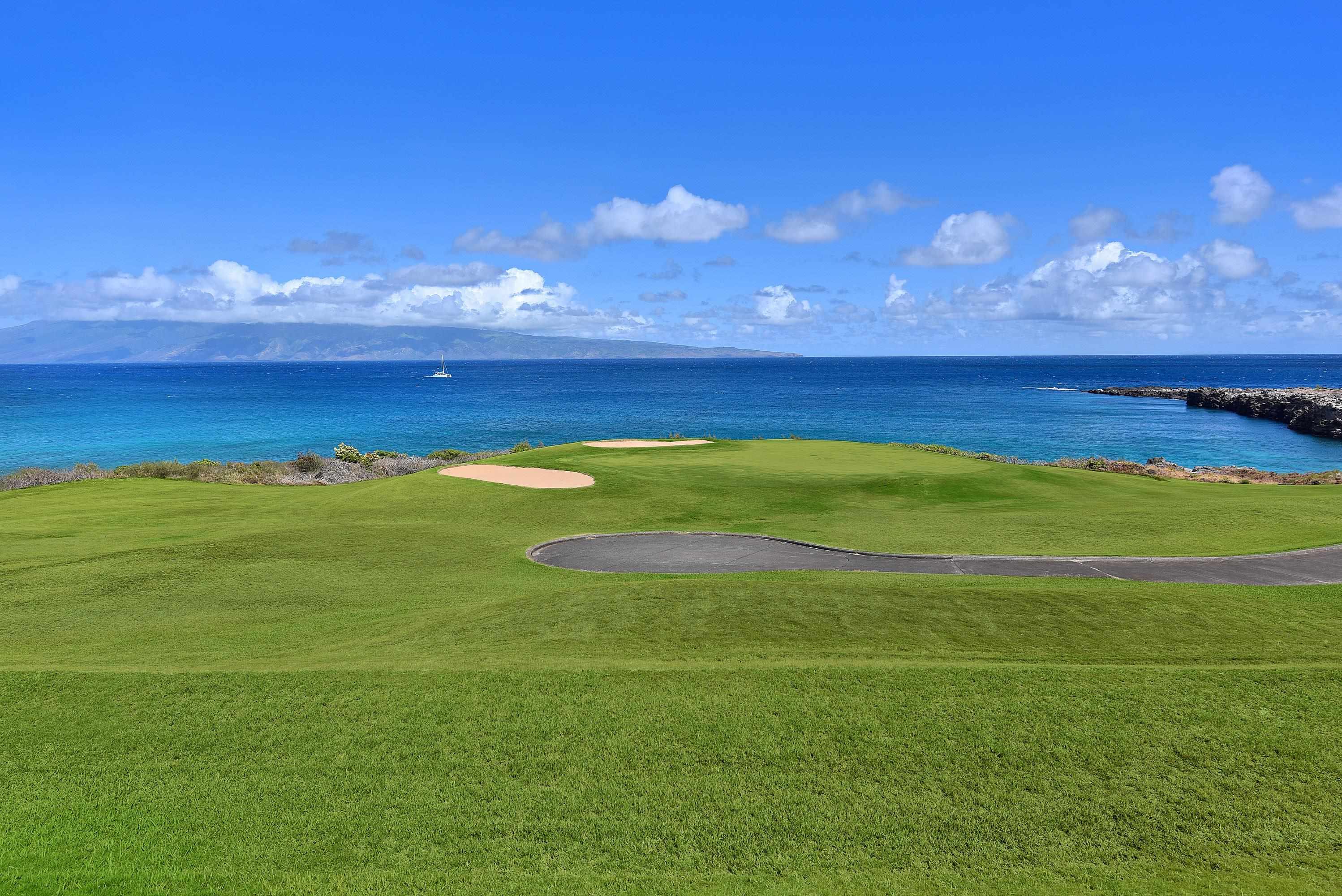 Kapalua Ironwoods condo # 71, Lahaina, Hawaii - photo 26 of 33
