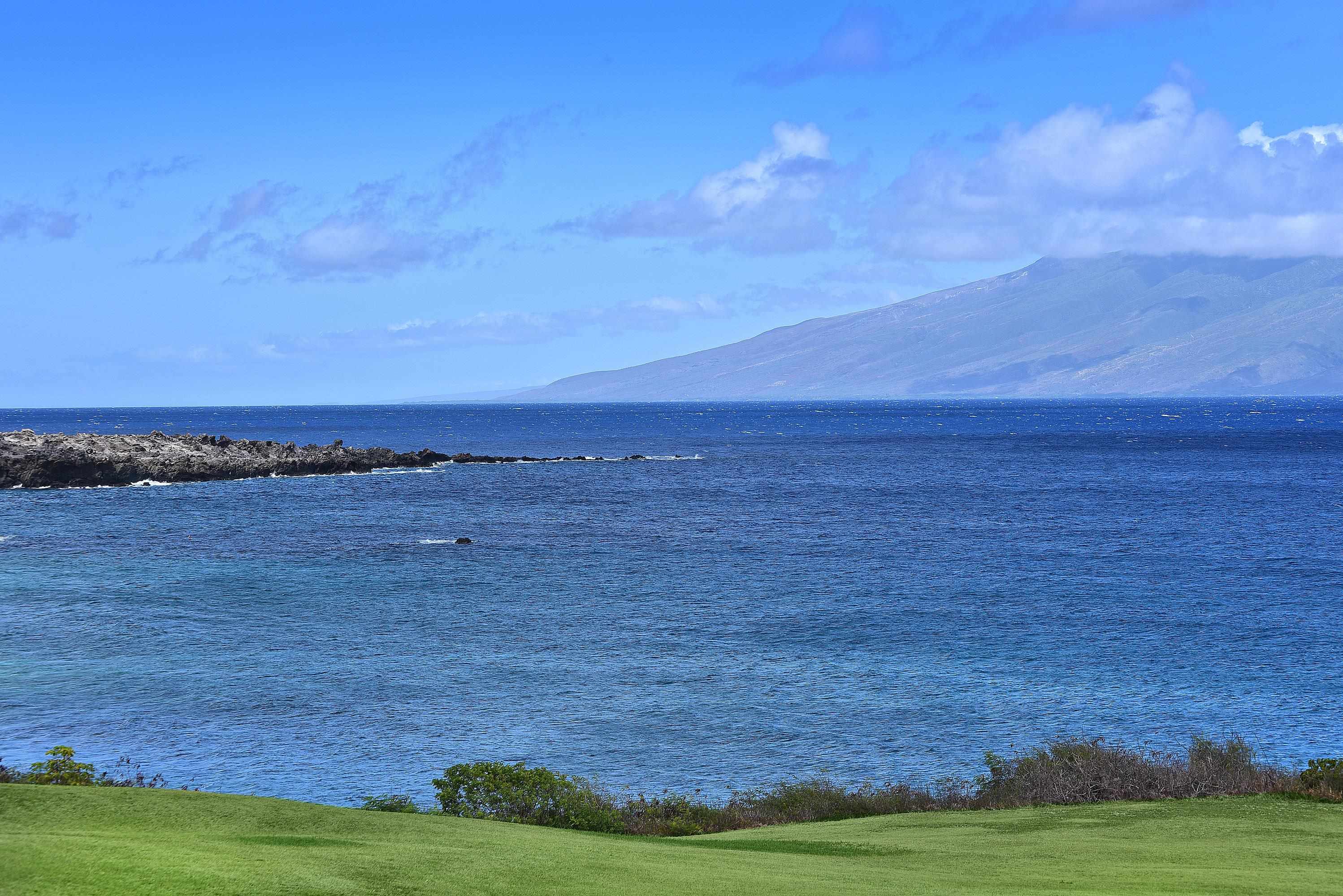 Kapalua Ironwoods condo # 71, Lahaina, Hawaii - photo 28 of 33