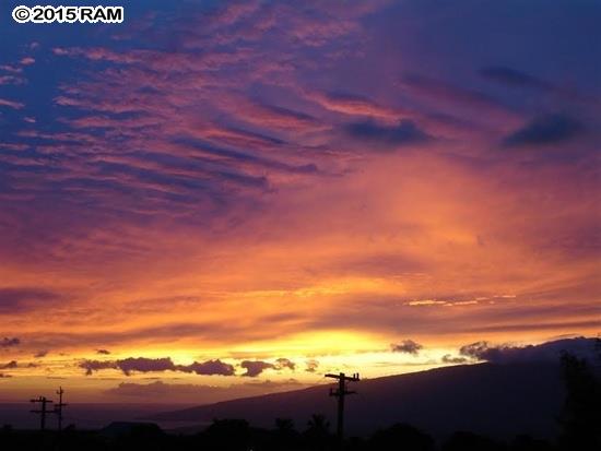 Gardens Upcountry condo # 15, Makawao, Hawaii - photo 19 of 28