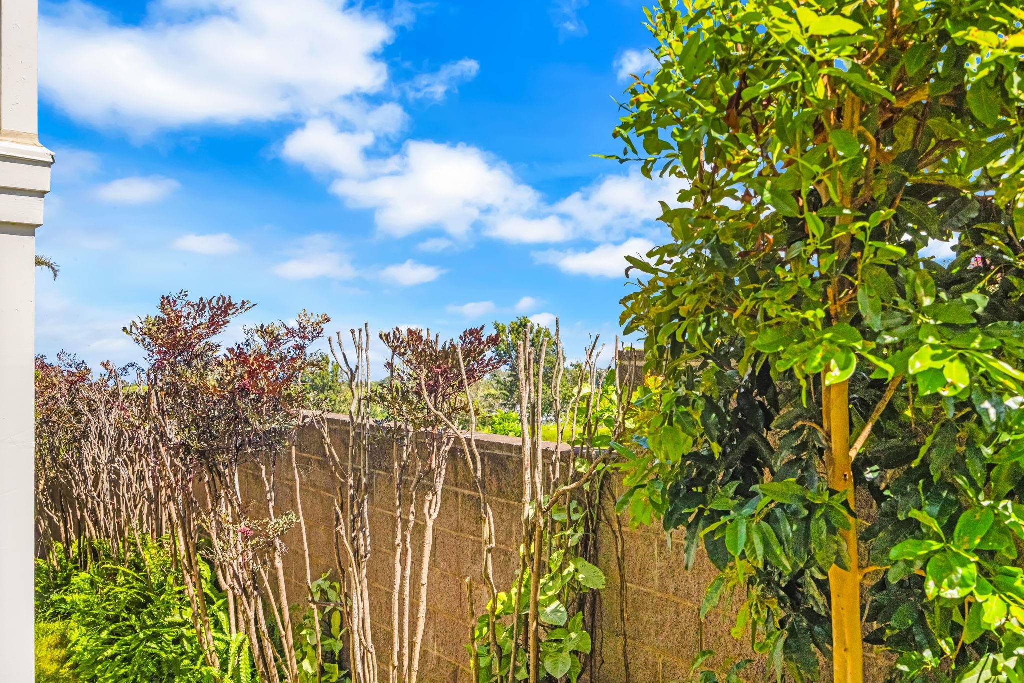 Gardens Upcountry condo # 3, Pukalani, Hawaii - photo 14 of 28