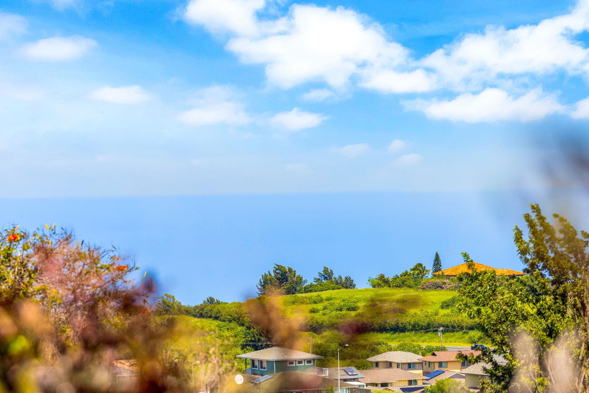 Gardens Upcountry condo # 3, Pukalani, Hawaii - photo 15 of 28