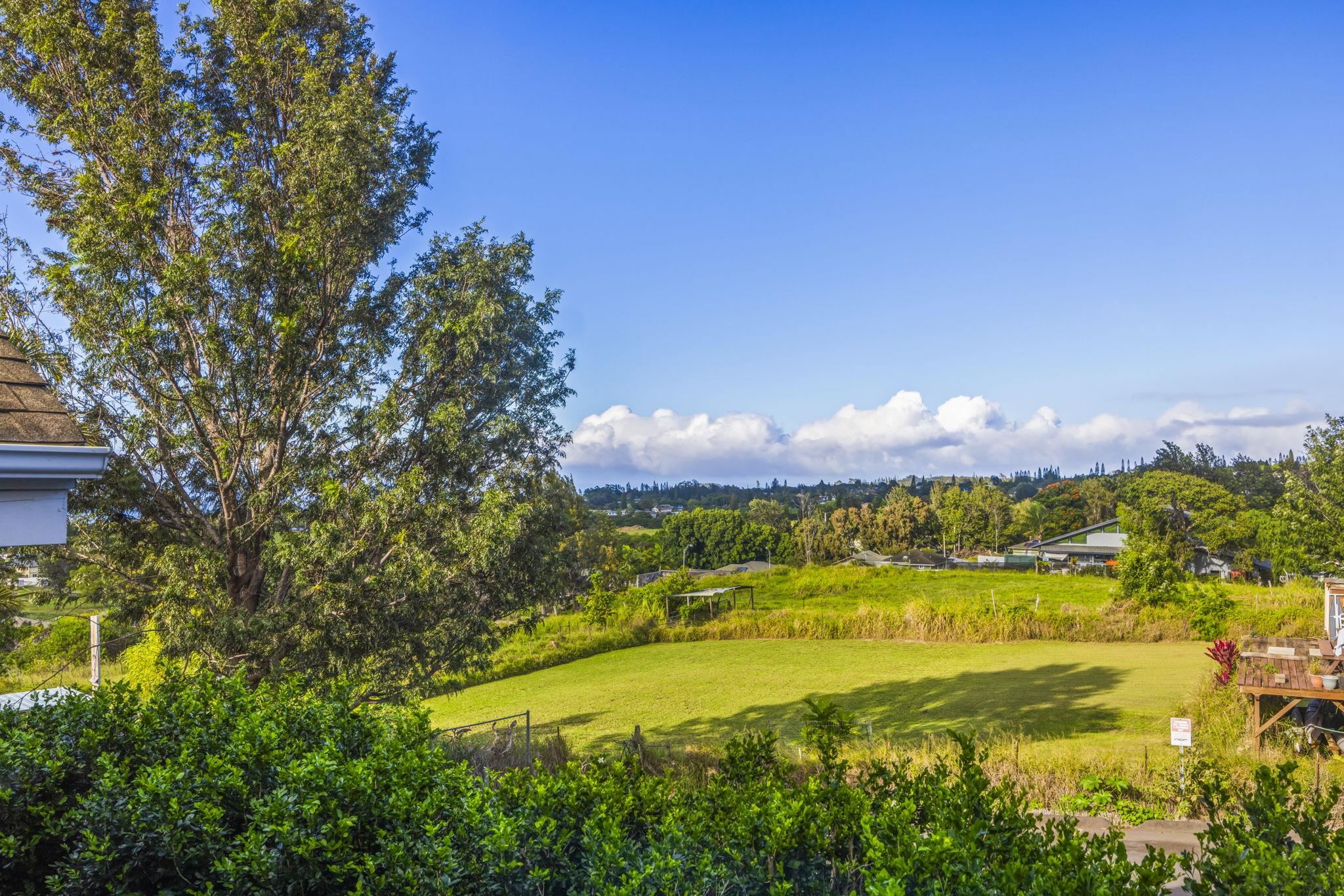 Gardens Upcountry condo # 5, Pukalani, Hawaii - photo 2 of 50