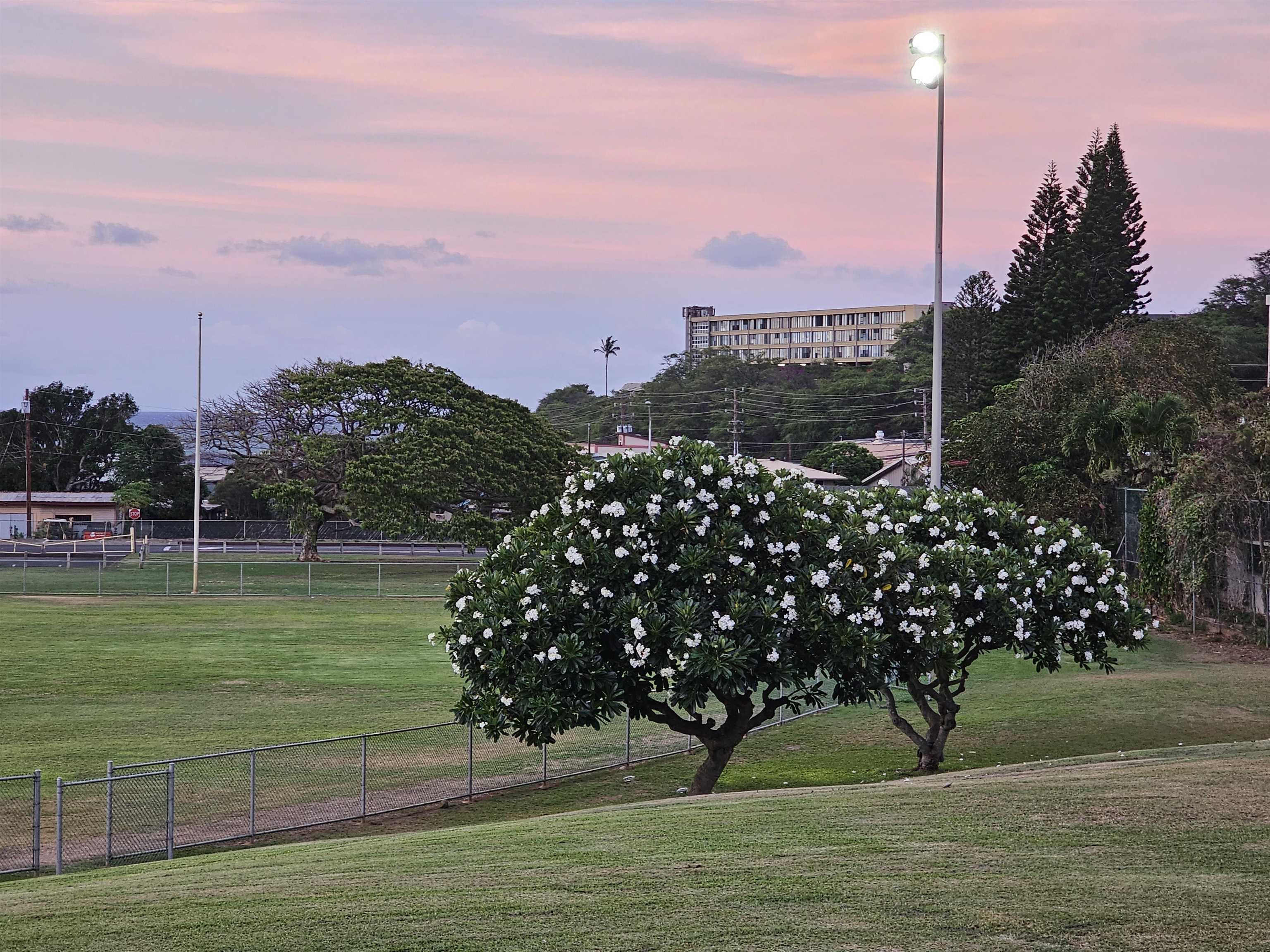 Iao Parkside IV-A condo # 35-202, Wailuku, Hawaii - photo 33 of 44