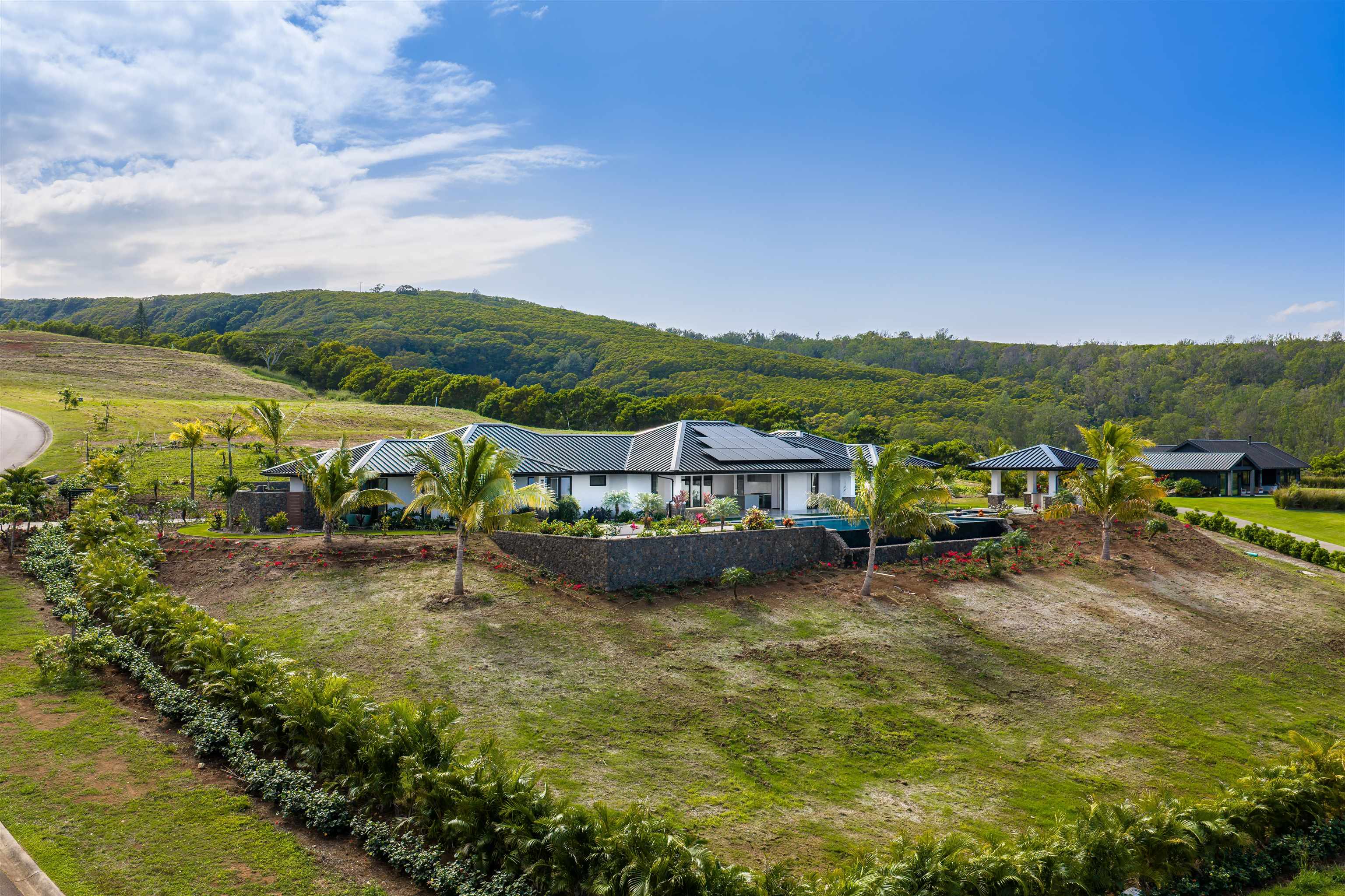 710  Mahana Ridge St Kapalua, Kapalua home - photo 44 of 50