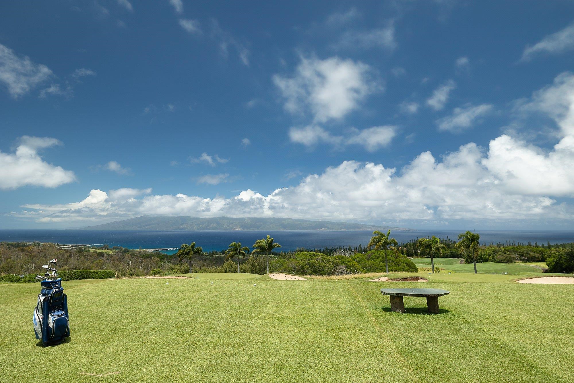 710  Mokuleia Pl Plantation Ests Phase Ii, Kapalua home - photo 11 of 50