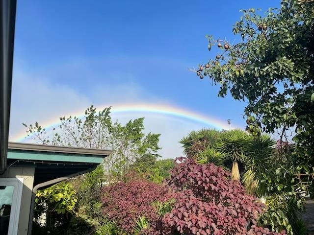 712  Upper Kimo Dr , Kula/Ulupalakua/Kanaio home - photo 25 of 50