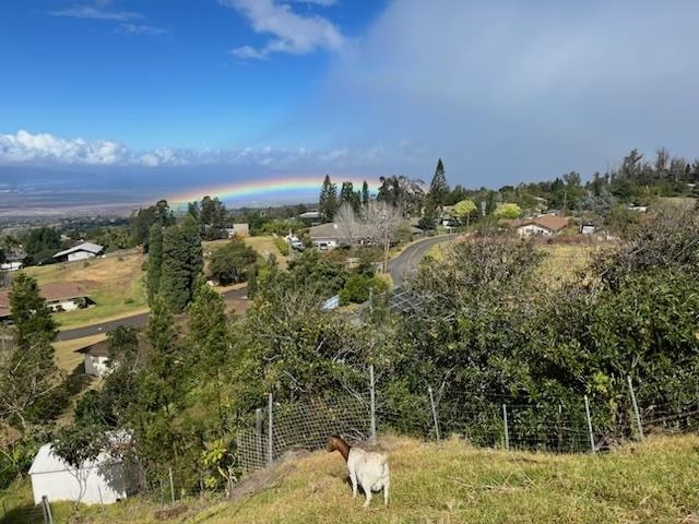 712  Upper Kimo Dr , Kula/Ulupalakua/Kanaio home - photo 26 of 50