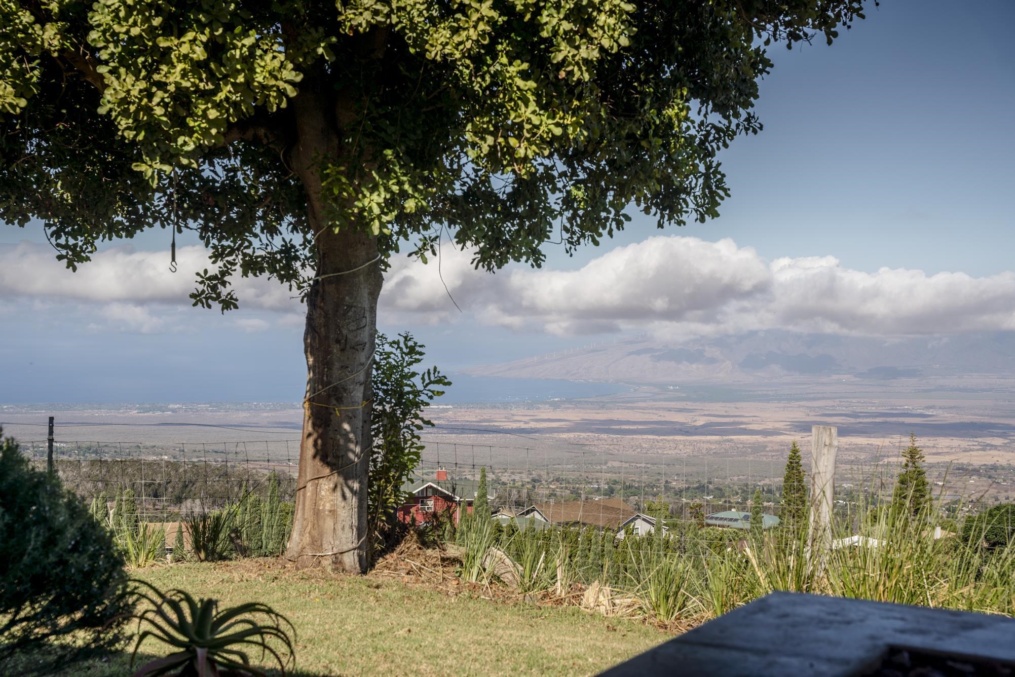 712  Upper Kimo Dr , Kula/Ulupalakua/Kanaio home - photo 36 of 50
