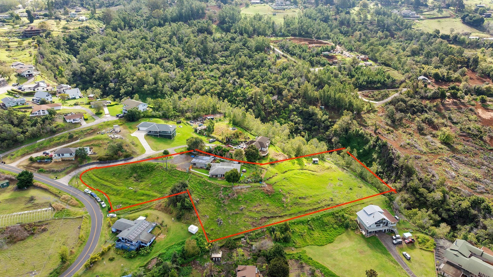 712  Upper Kimo Dr , Kula/Ulupalakua/Kanaio home - photo 44 of 50