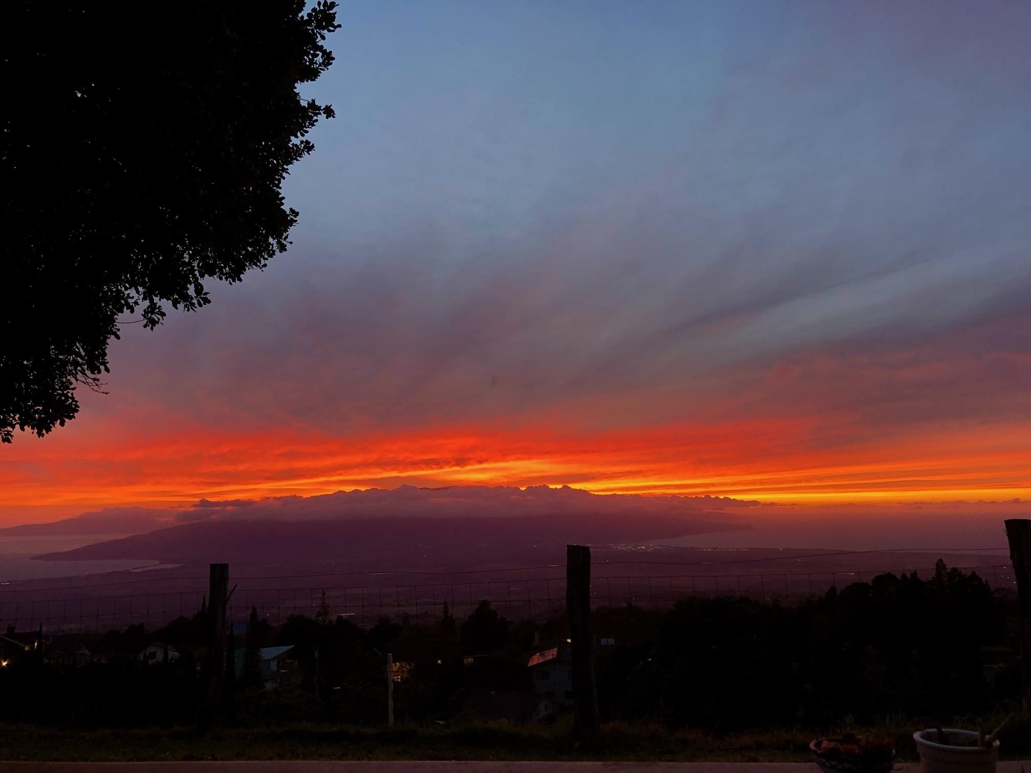712  Upper Kimo Dr , Kula/Ulupalakua/Kanaio home - photo 47 of 50