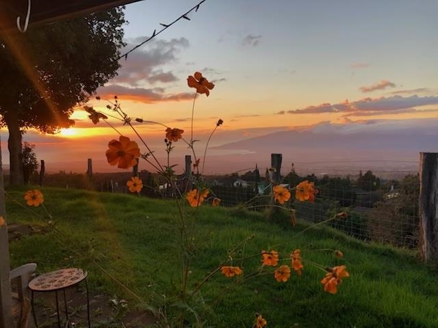712  Upper Kimo Dr , Kula/Ulupalakua/Kanaio home - photo 49 of 50