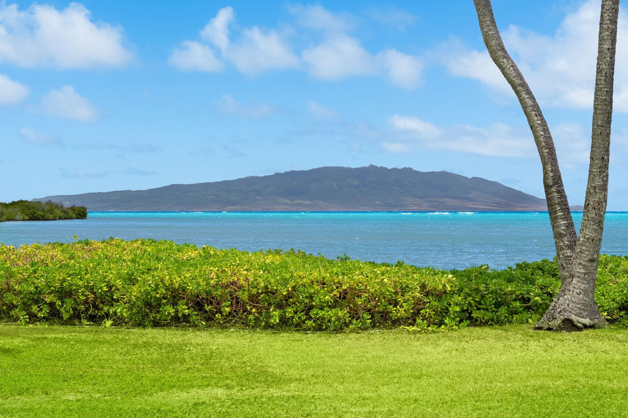 Wavecrest condo # A103, Kaunakakai, Hawaii - photo 7 of 16