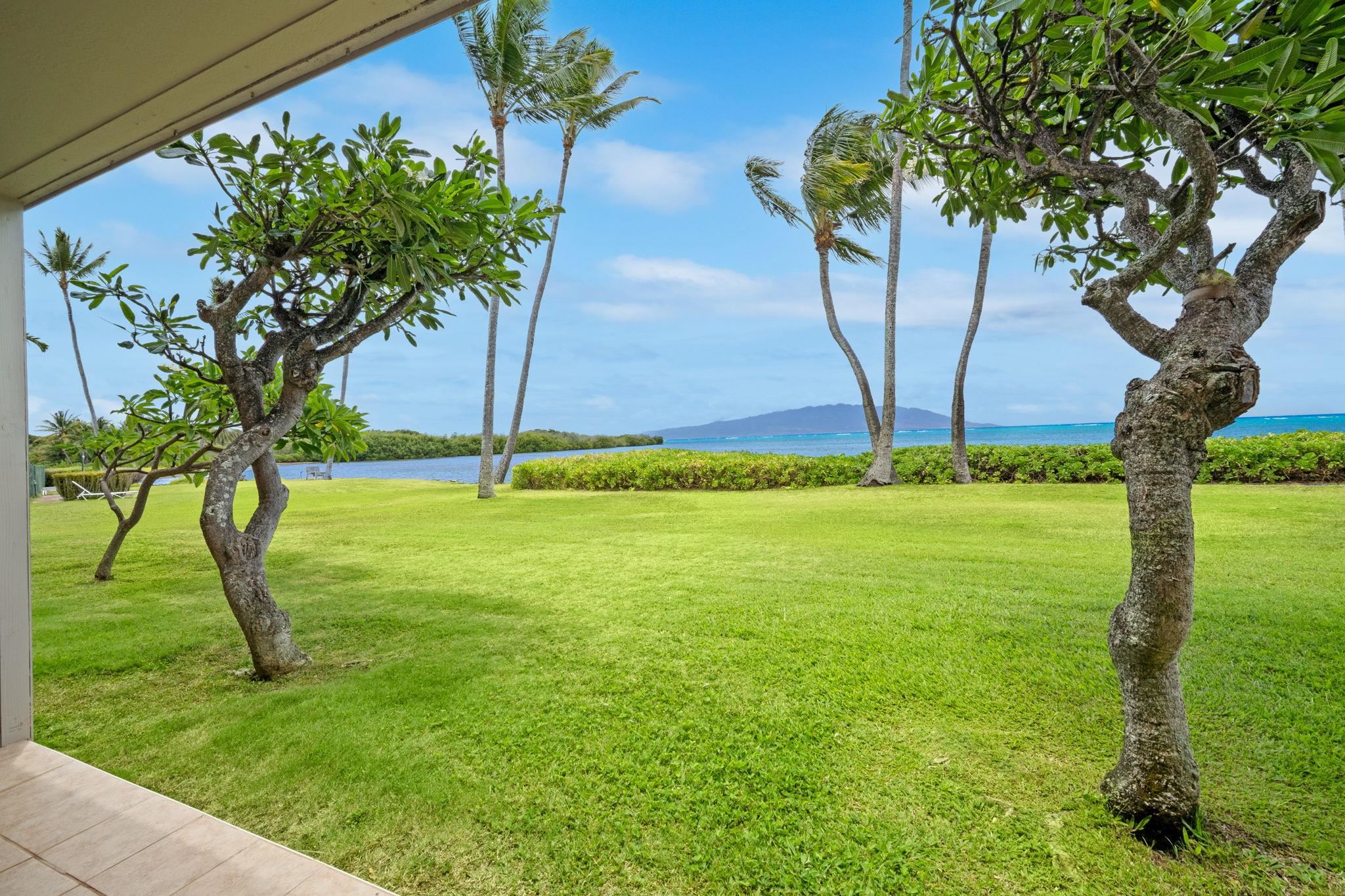 Wavecrest condo # A103, Kaunakakai, Hawaii - photo 8 of 16