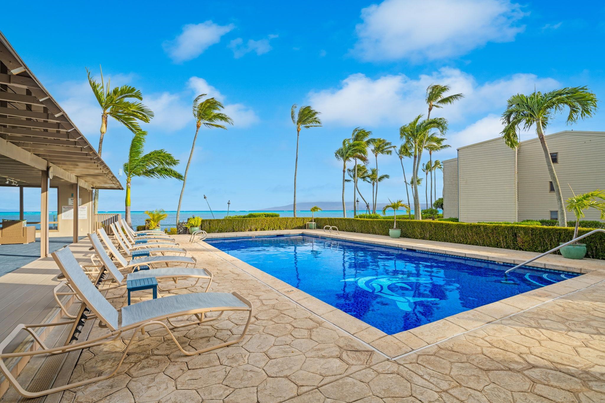 Wavecrest condo # A103, Kaunakakai, Hawaii - photo 9 of 16